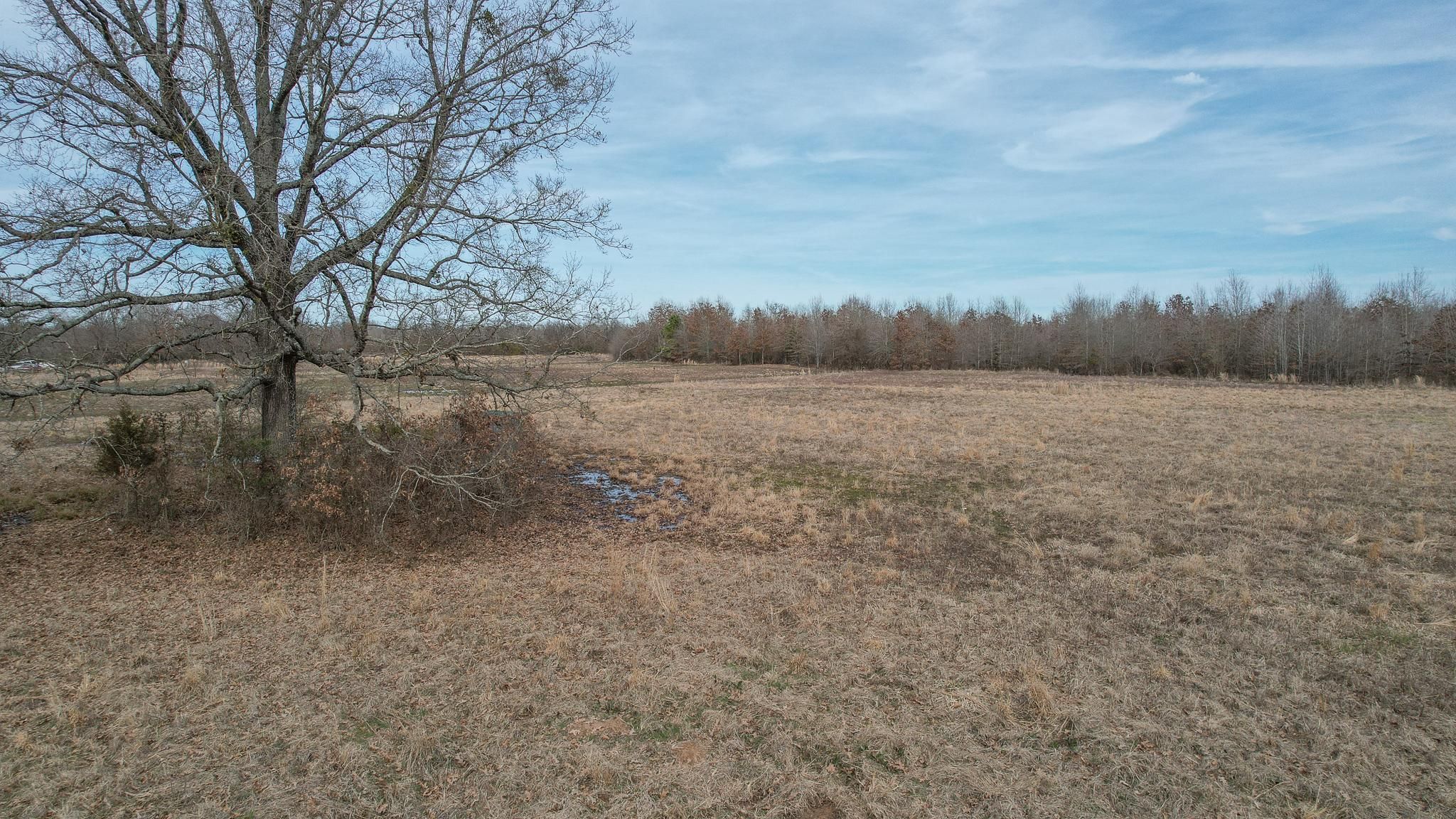 127 acres in De Kalb, TX, 75559 MLS Great hunting and recreational