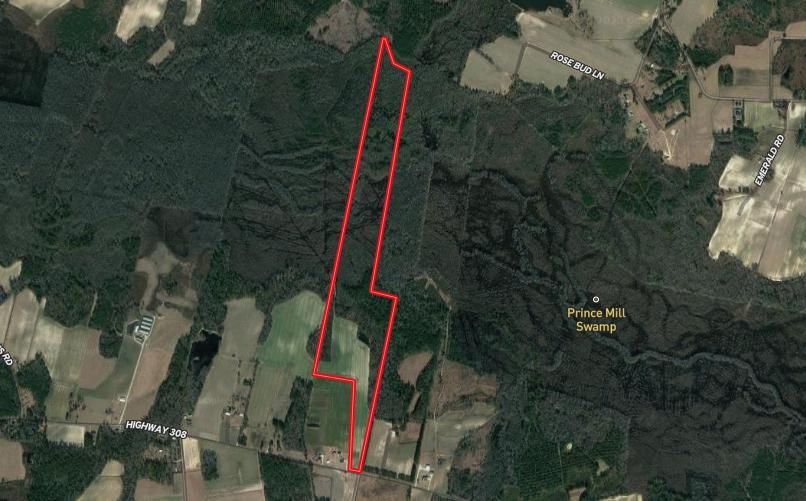 102 Acres, Off Hwy 308, Galivants Ferry, SC 29544 Land and Farm