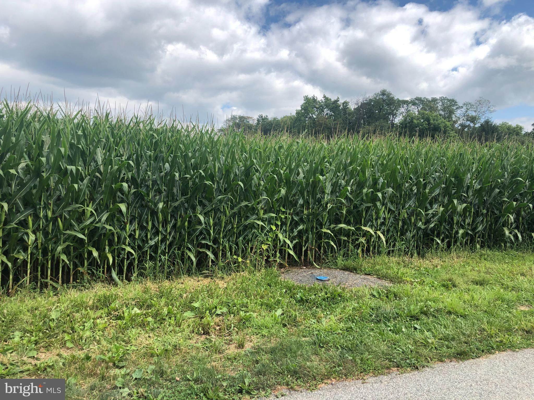 10 Acres, 0 COFFEE GOSS ROAD, Marietta, PA 17547 Land and Farm