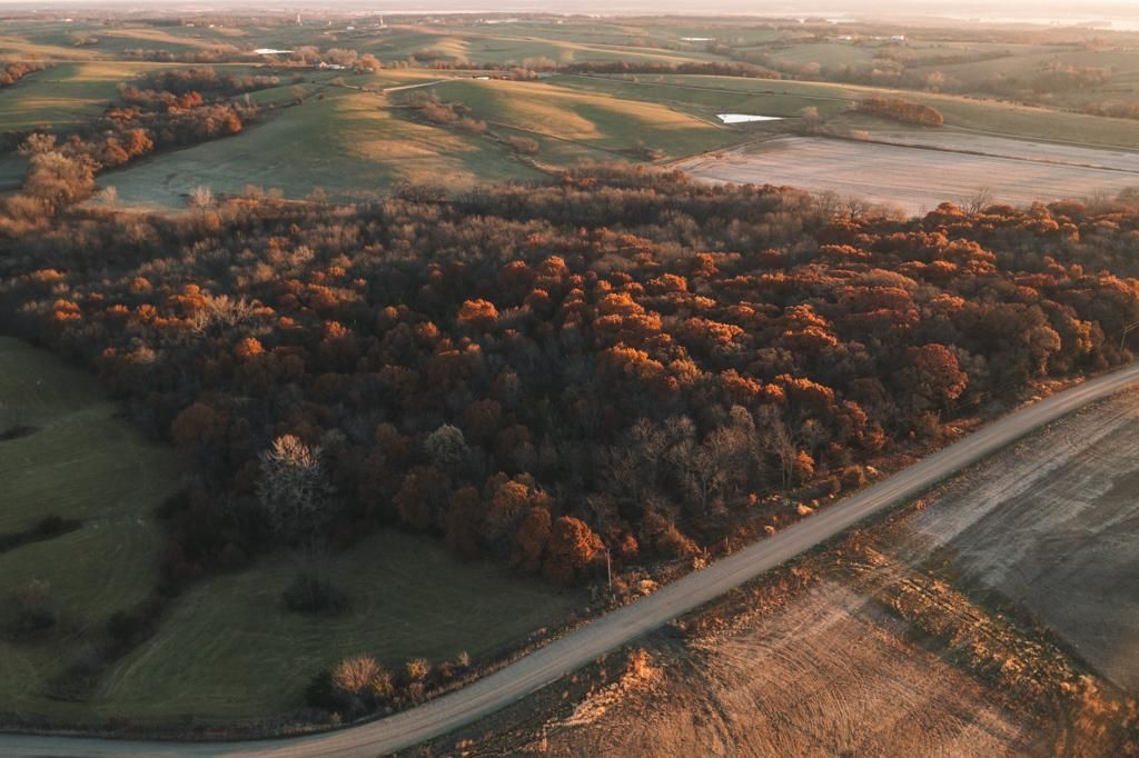 34 Acres, TBD E 110th Road, Blythedale, MO 64426 Land and Farm