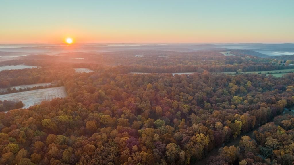 80 Acres, 000 Jackson School Rd, French Village, MO 63627 Land and Farm