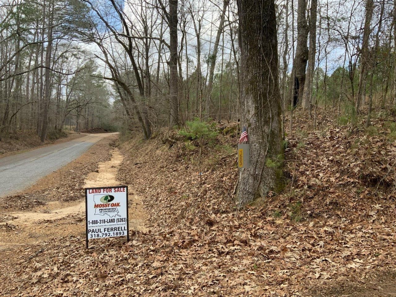 9.03 acres in Natchez, MS, 39120 Land and Farm