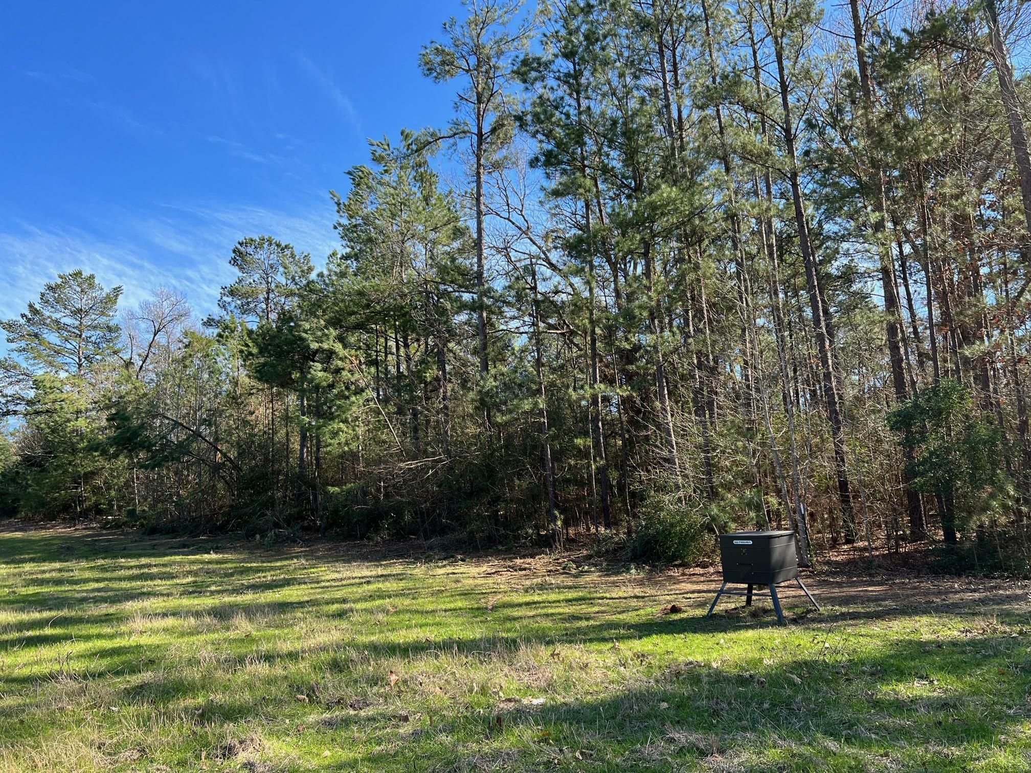 36 Acres, FM1511, Centerville, TX 75833 Land and Farm