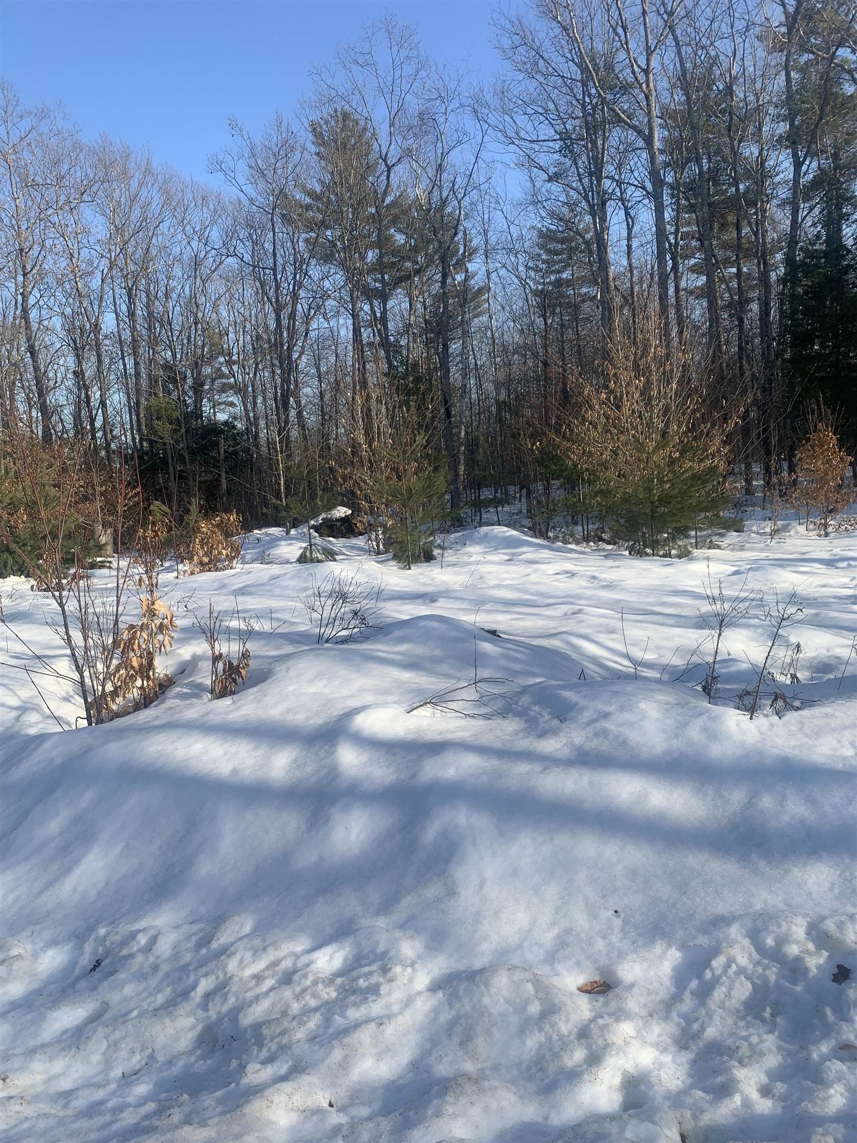 0.92 Acres, 3 Aloma Road, Wakefield, NH 03830 Land and Farm