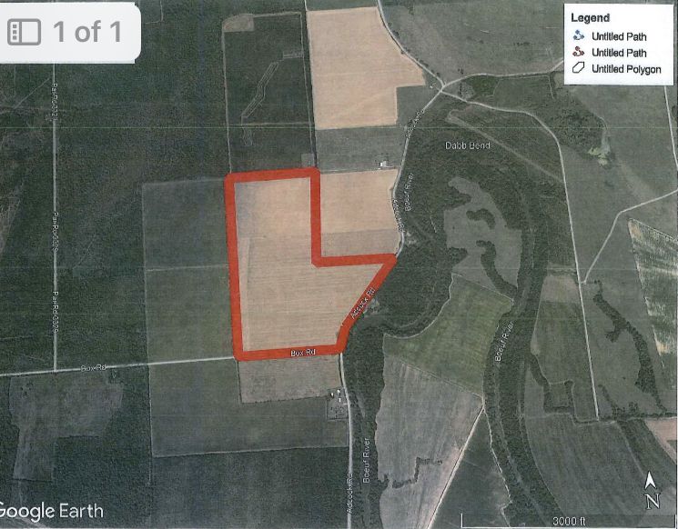 100 Acres, Adcock Rd, Rayville, LA 71269 Land and Farm