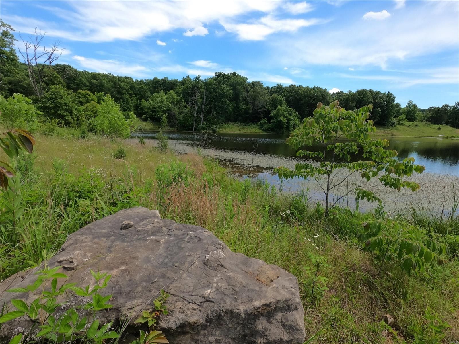 200 Acres, 0 Bluffton Rd., Rhineland, MO 65069 Land and Farm