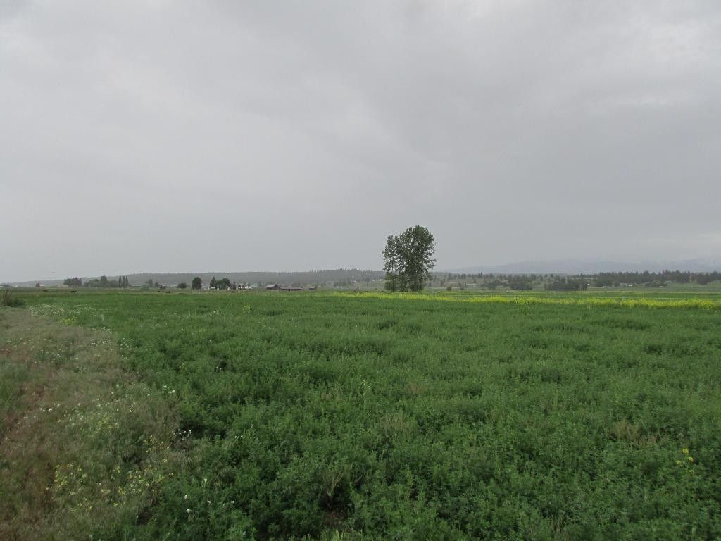 40 Acres, 00 Groff Lane, Stevensville, MT 59870 Land and Farm
