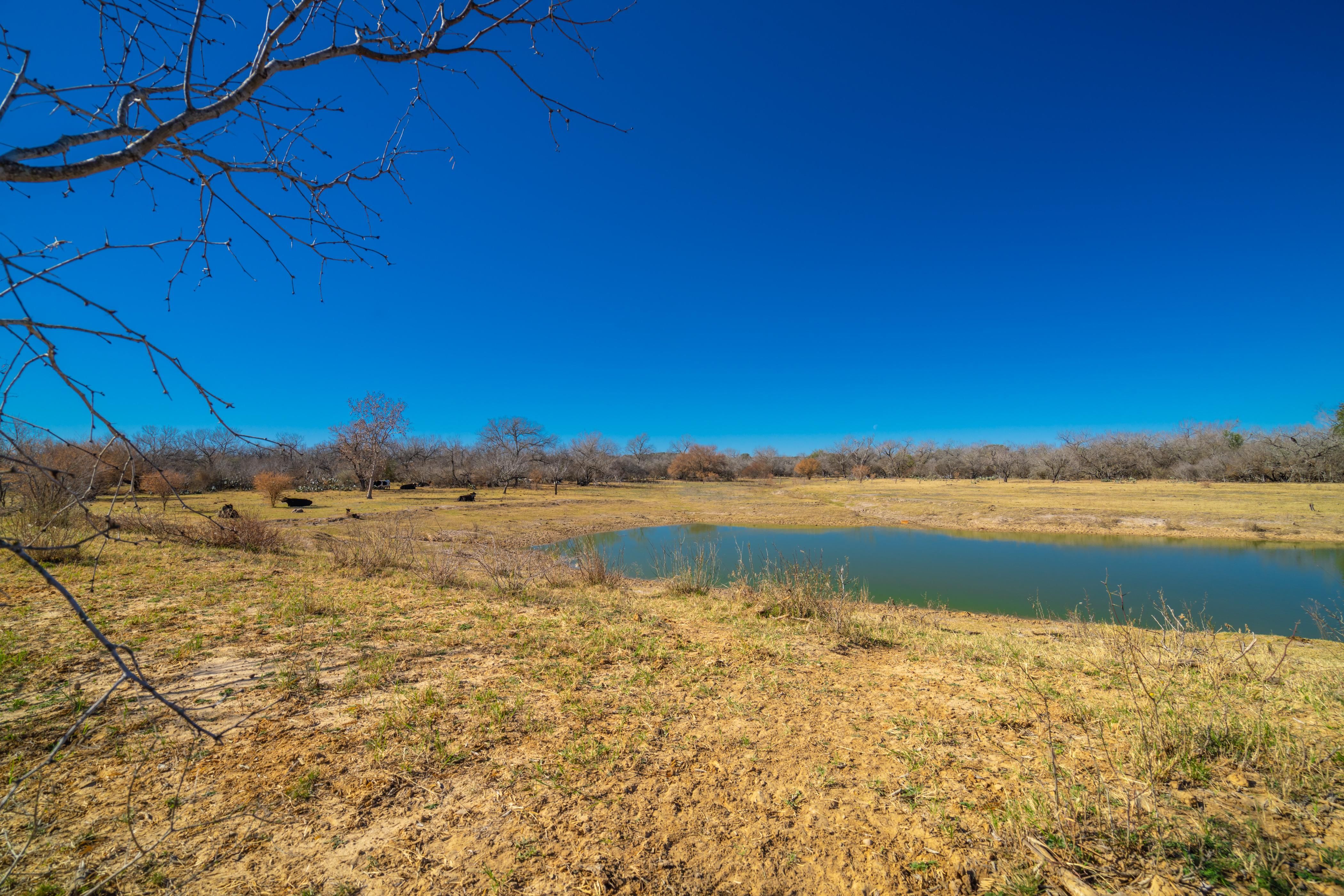 410 acres in Yancey, TX, 78886 Land and Farm