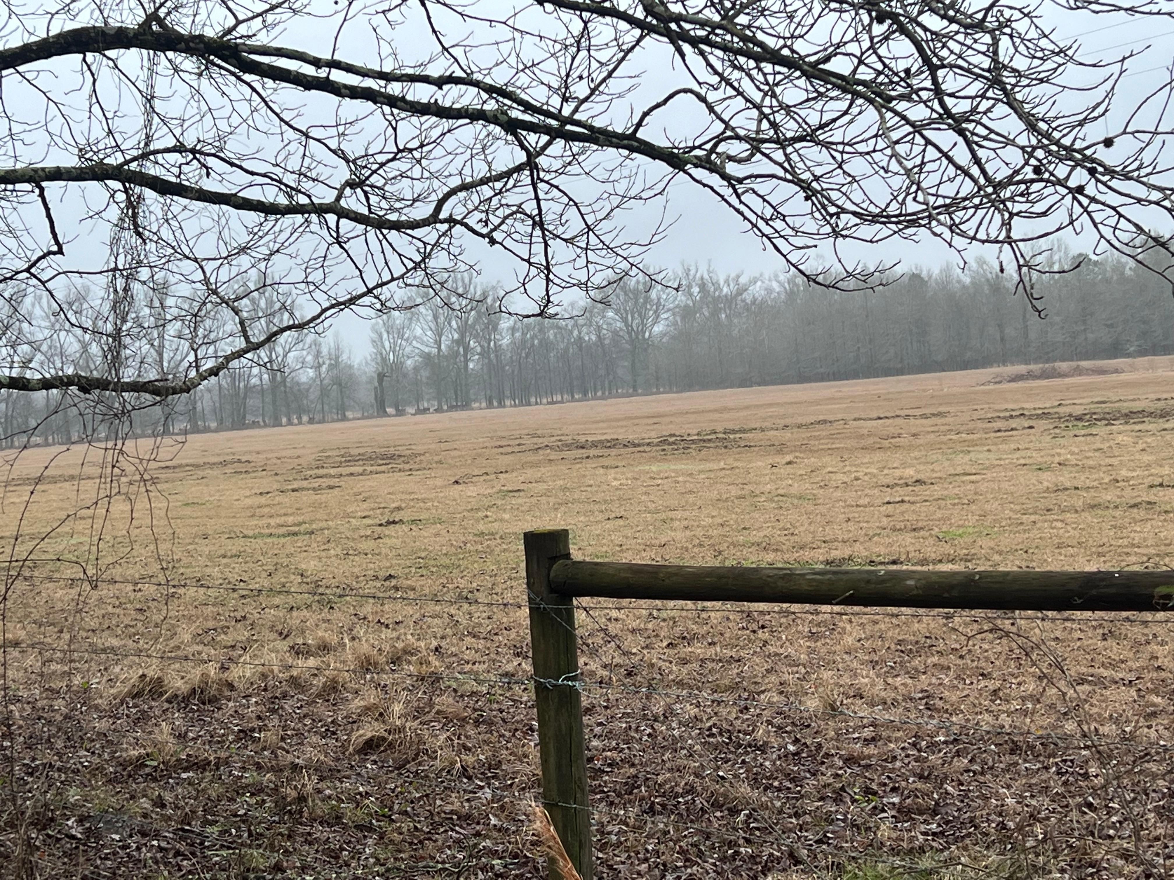 95 Acres, Harrisonburg, LA 71340 Land and Farm