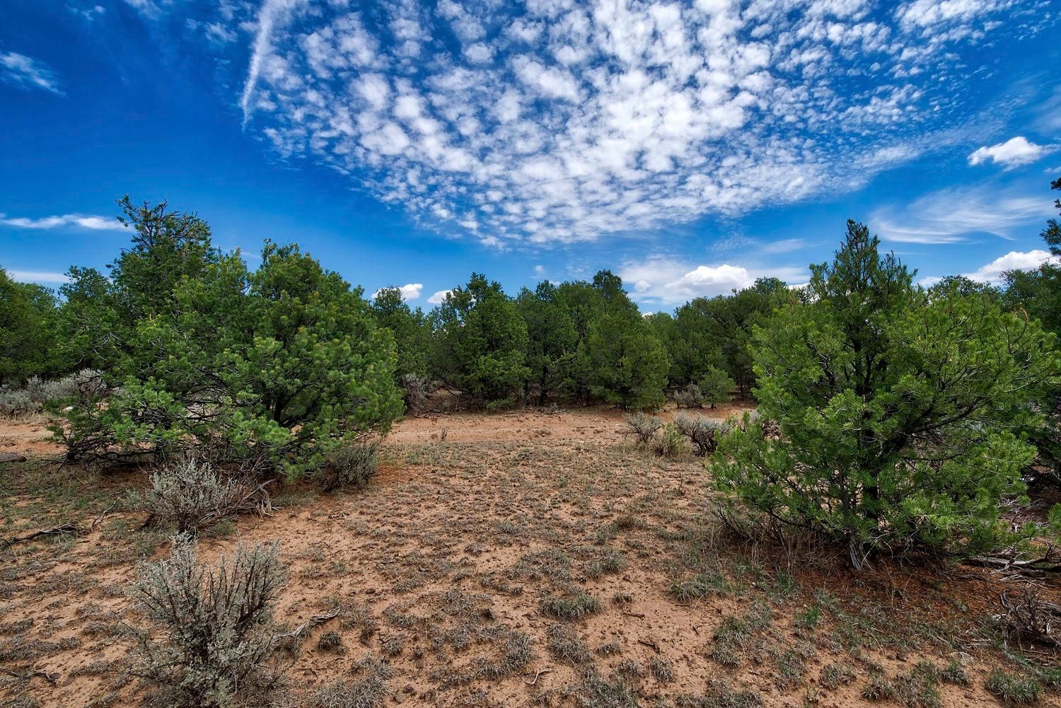 0.5 Acres, 87529 Tres Piedras Way, Tres Piedras, NM 88012 Land and Farm