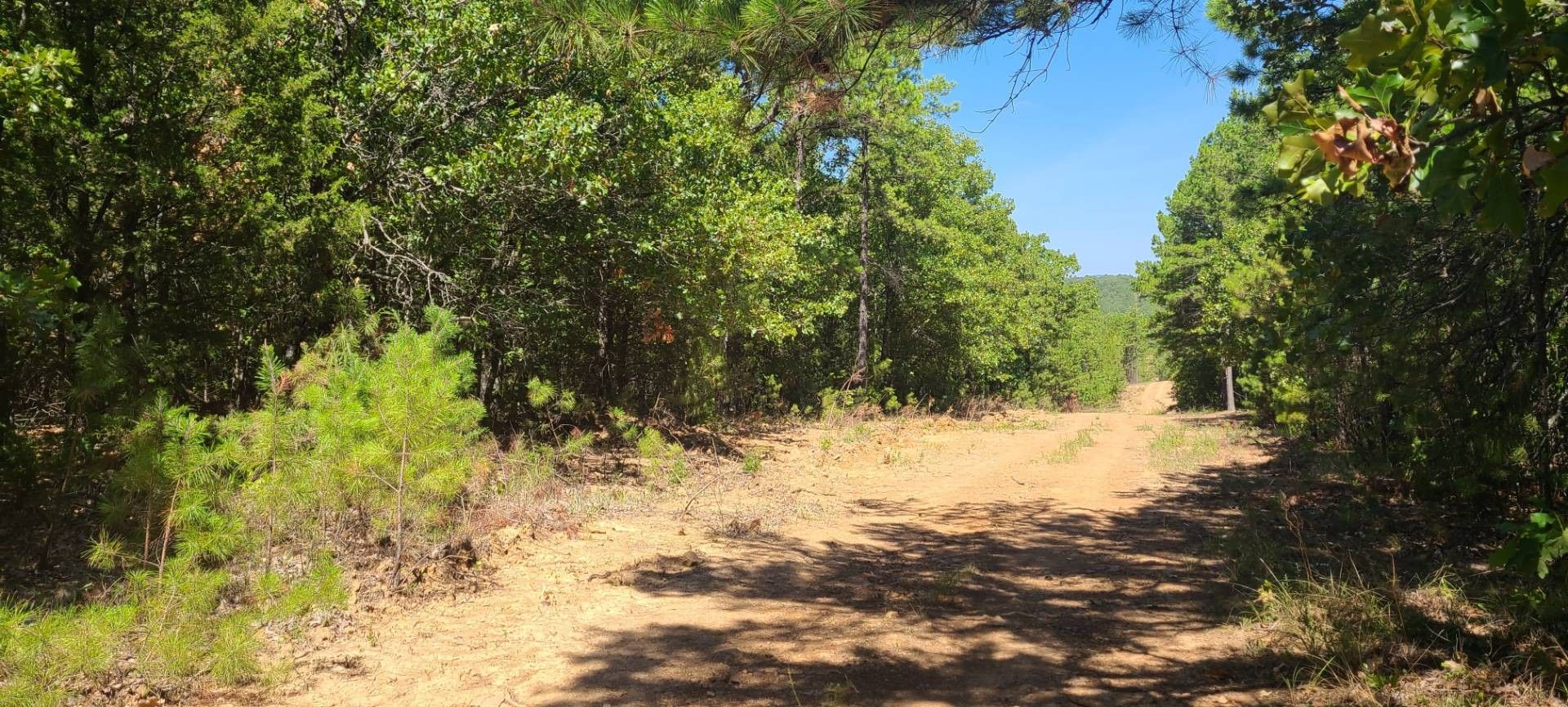 5 Acres, 137th Eufaula Partners, Talihina, OK 74571 Land and Farm