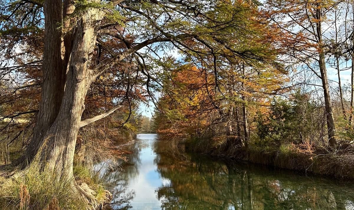 120 Rocky Creek Road, Medina, TX 78055 MLS 108342 Land and Farm