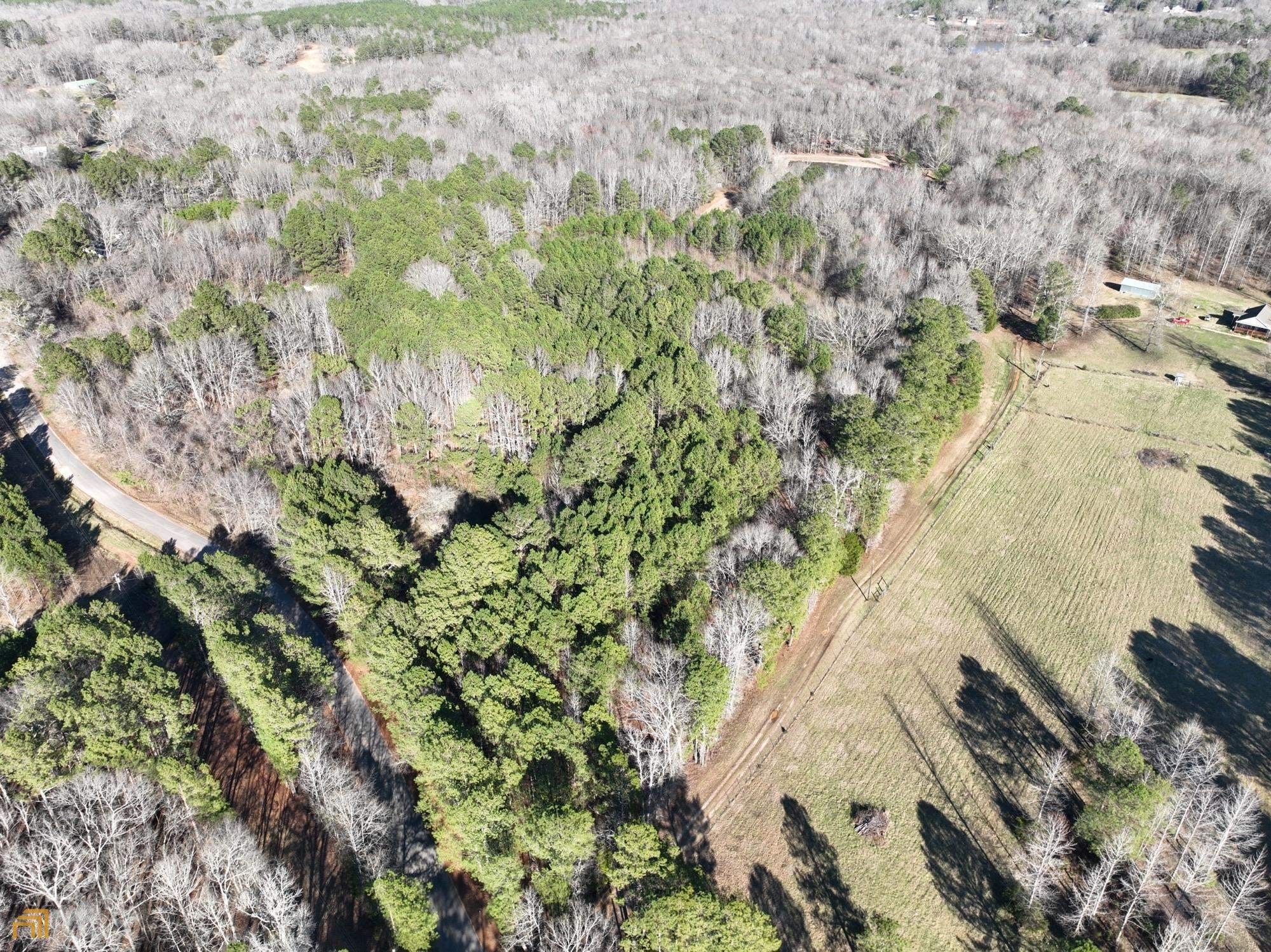 8.53 Acres, 0 Williams Mill Road, Zebulon, GA 30295 Land and Farm