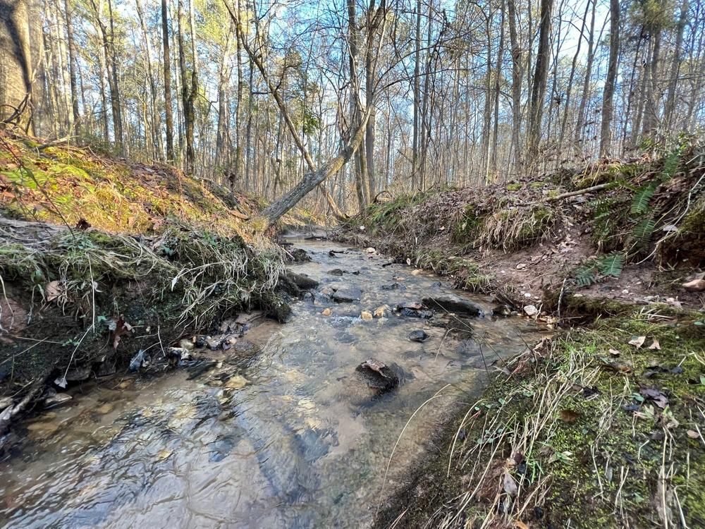 89 Acres, 89 Acres on Lee County Road 648, Waverly, AL 36879 Land and