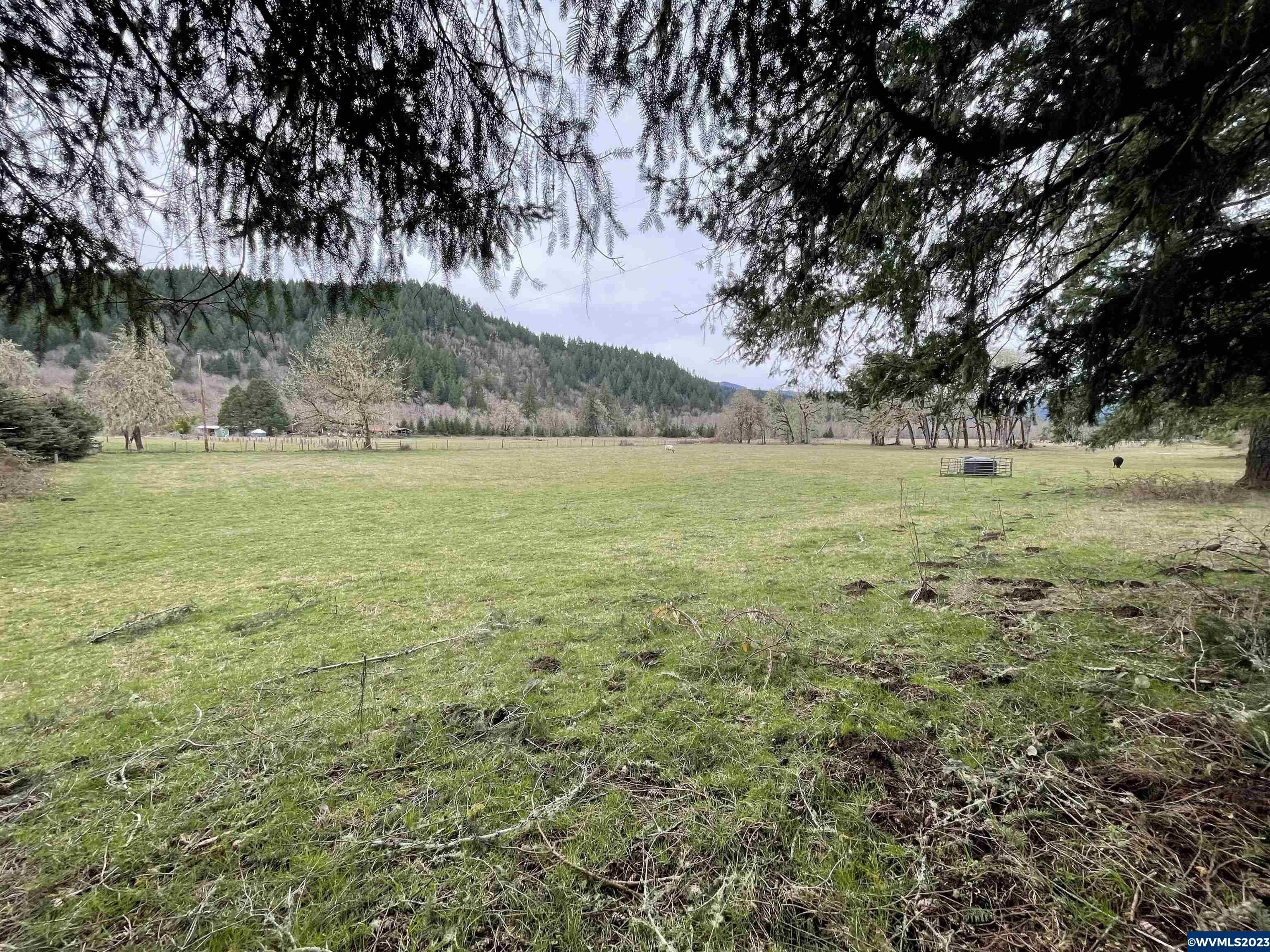 2 Acres, 26140 AlseaDeadwood (Adjacent, Unassigned) Hwy, Alsea, OR