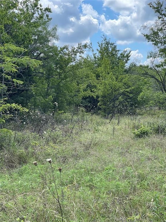 121.76 Acres, 000 Co Road 4058, Kemp, TX 75143 Land and Farm