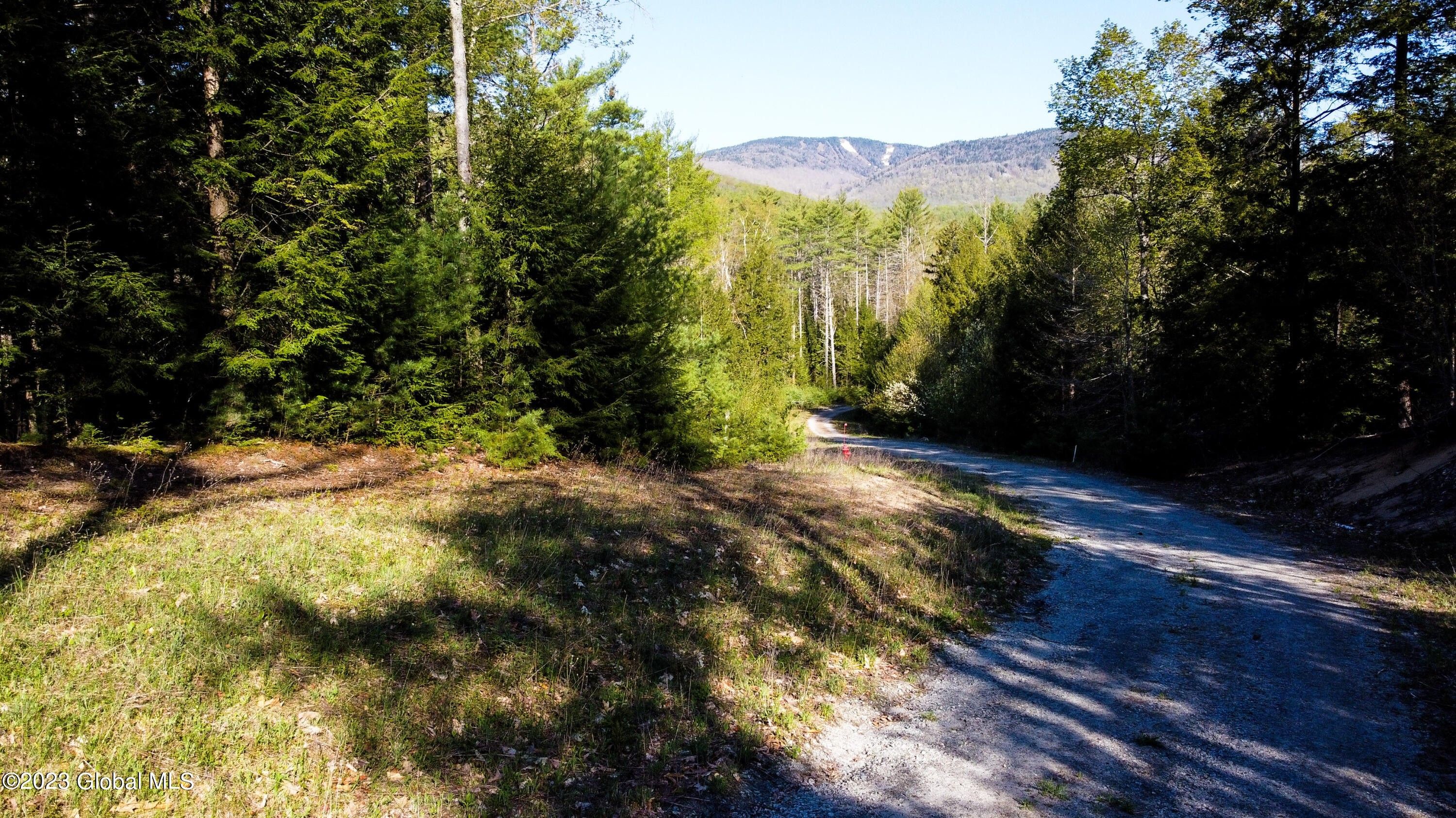 1.41 Acres, 35 The Woods, Johnsburg, NY 12853 Land and Farm