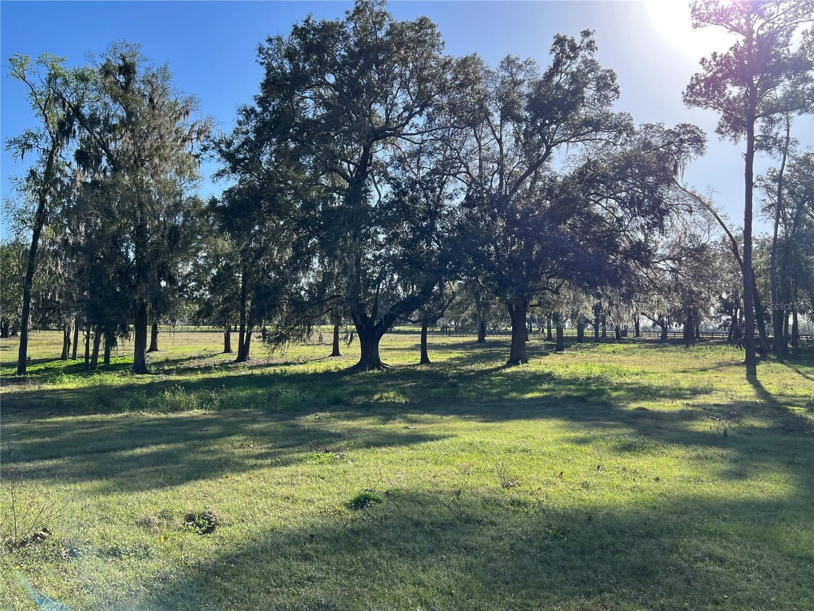 30.82 Acres, 3300 NW 63RD AVENUE, Ocala, FL 34482 Land and Farm