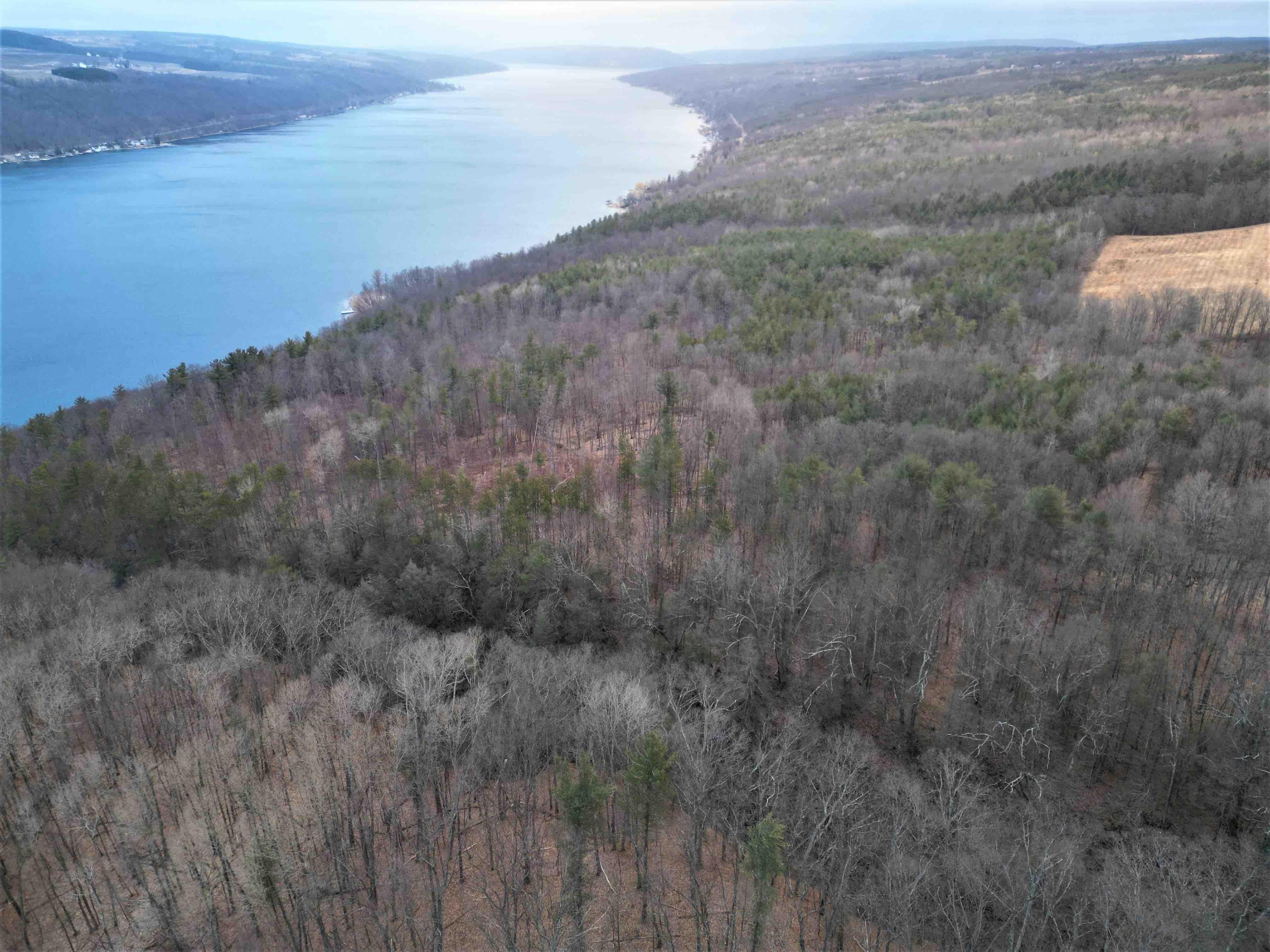 County Road 87, Hammondsport, NY 14840 Land and Farm