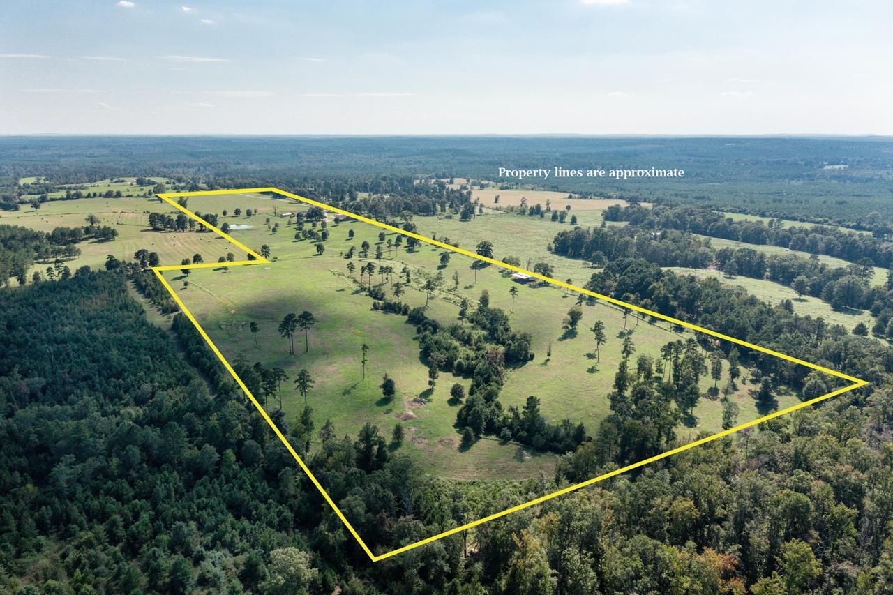 62.35 Acres, 11164 County Road 1617, Avinger, TX 75630 Land and Farm