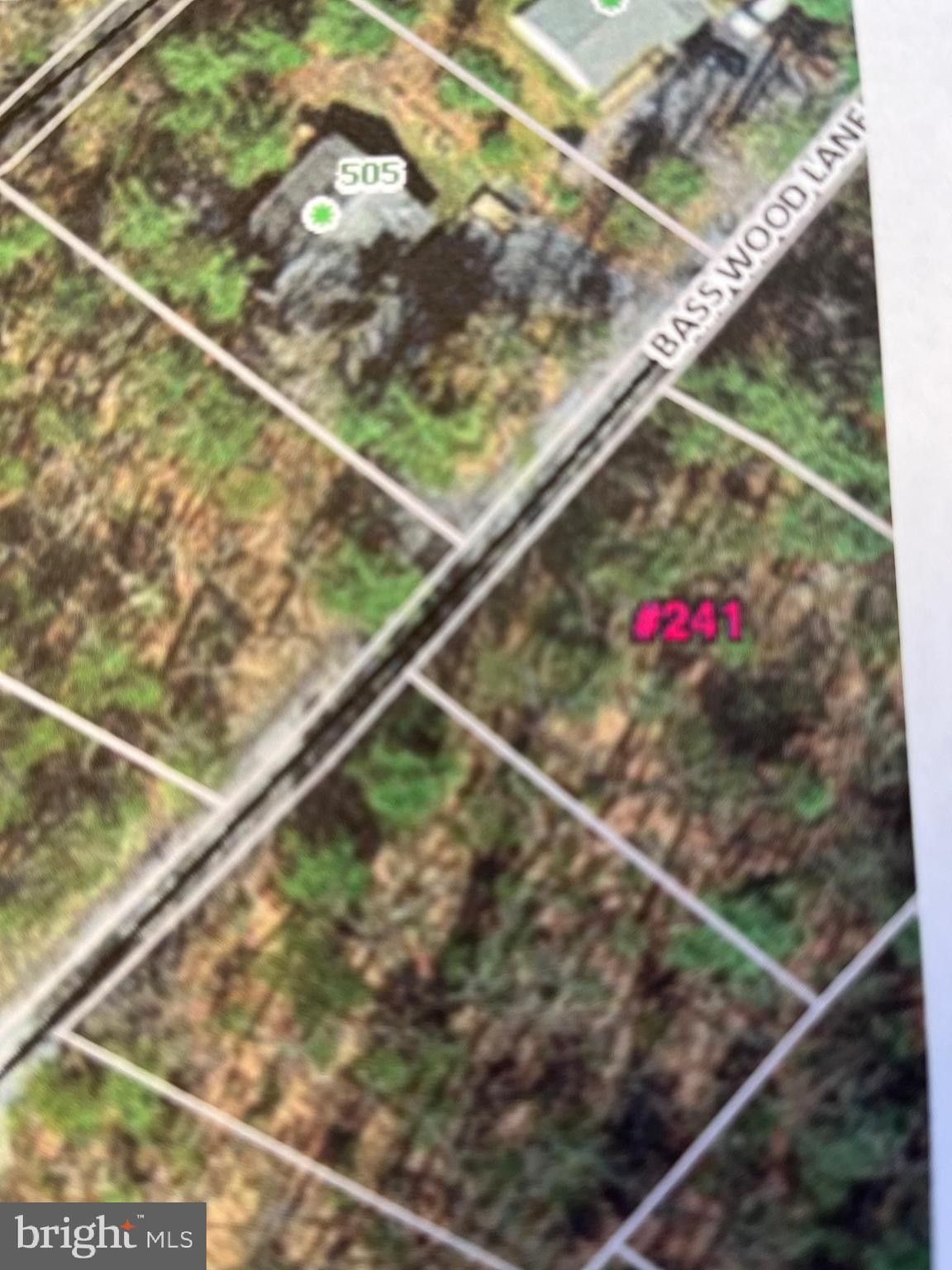 0.28 Acres, BASSWOOD LANE, Mount Jackson, VA 22842 Land and Farm