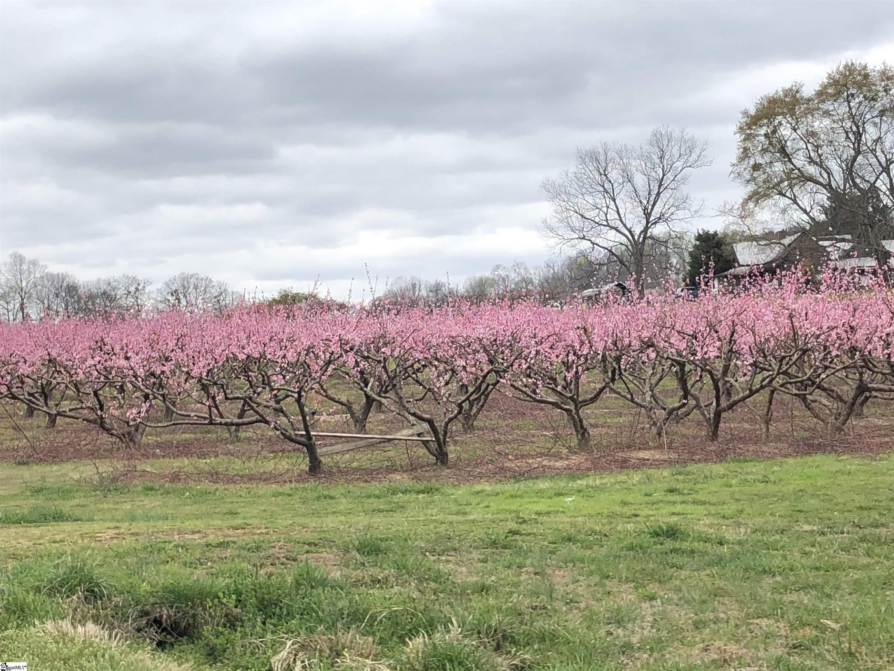 1.8 Acres, 00 Goodjoin Road, Campobello, SC 29322 Land and Farm