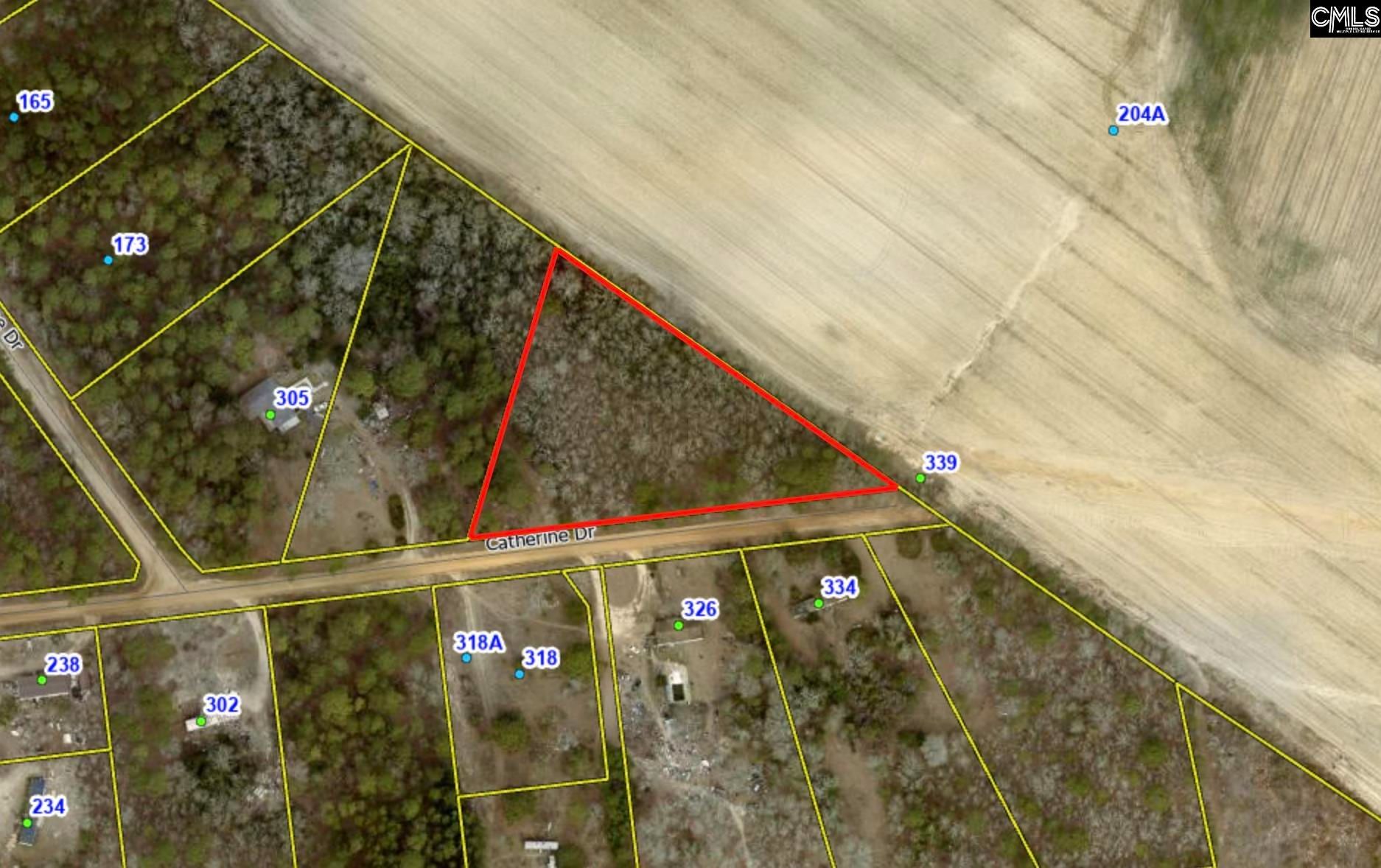 2 Acres, 325 Catherine Drive, Pelion, SC 29123 Land and Farm