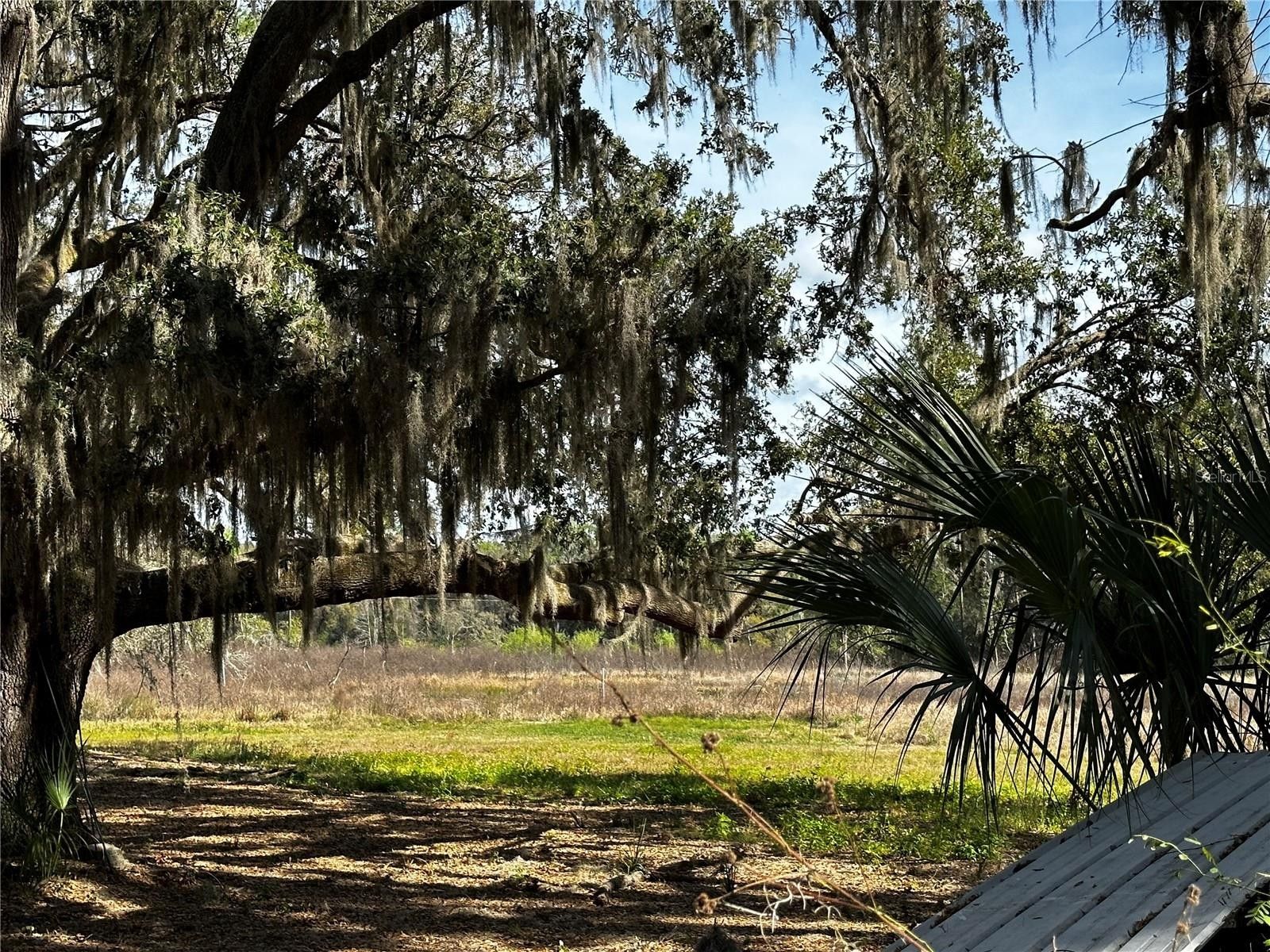 3.7 Acres, 15055 SE 140TH COURT ROAD, Weirsdale, FL 32195 Land and Farm