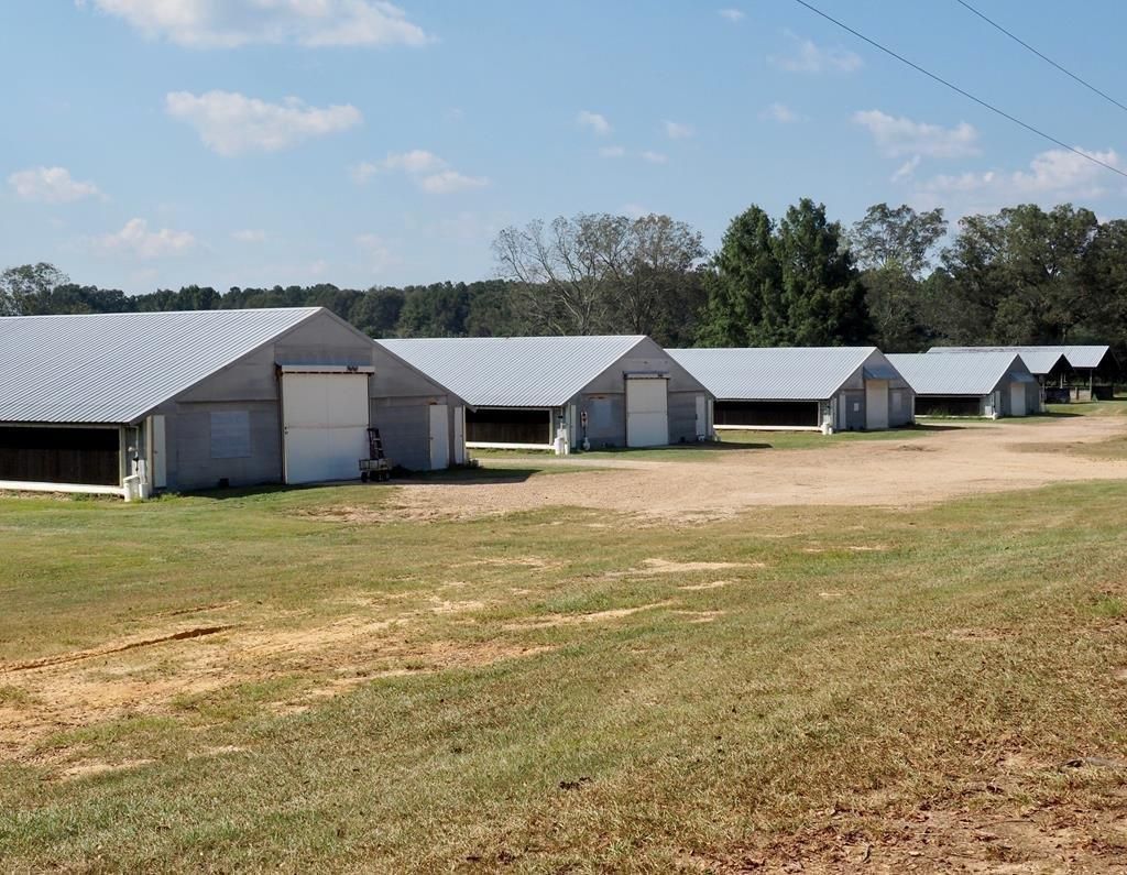 26 Acres, 43 James Speed Road, Collins, MS 39428 Land and Farm