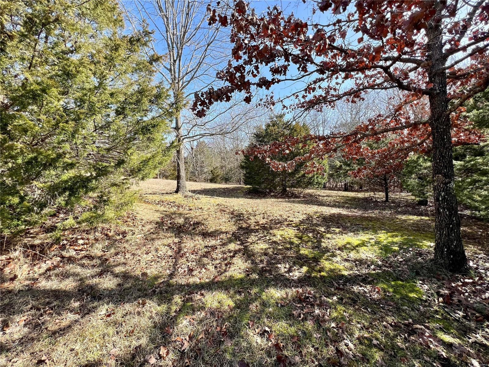 1 Acres, 18 Clear Springs Lane, Perryville, MO 63775 Land and Farm