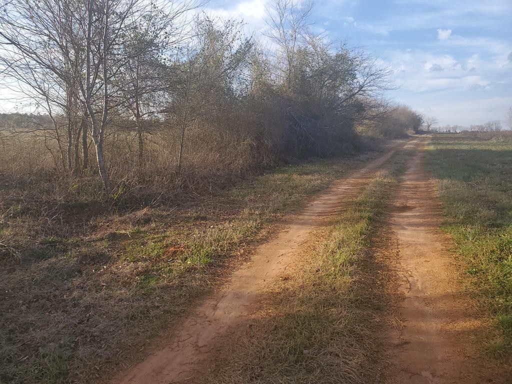 29 Acres, 7080 Brohun Camp Road, Wedgefield, SC 29168 Land and Farm