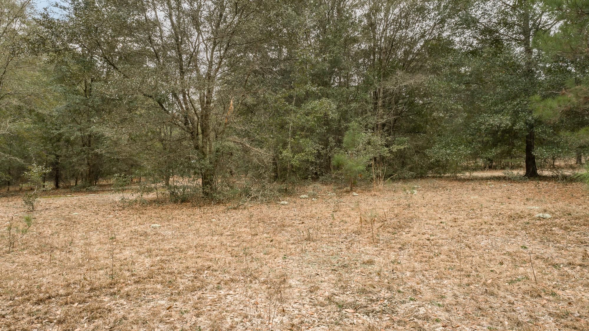 7.75 Acres, Robinson Farms Rd, Tallahassee, FL 32317 Land and Farm