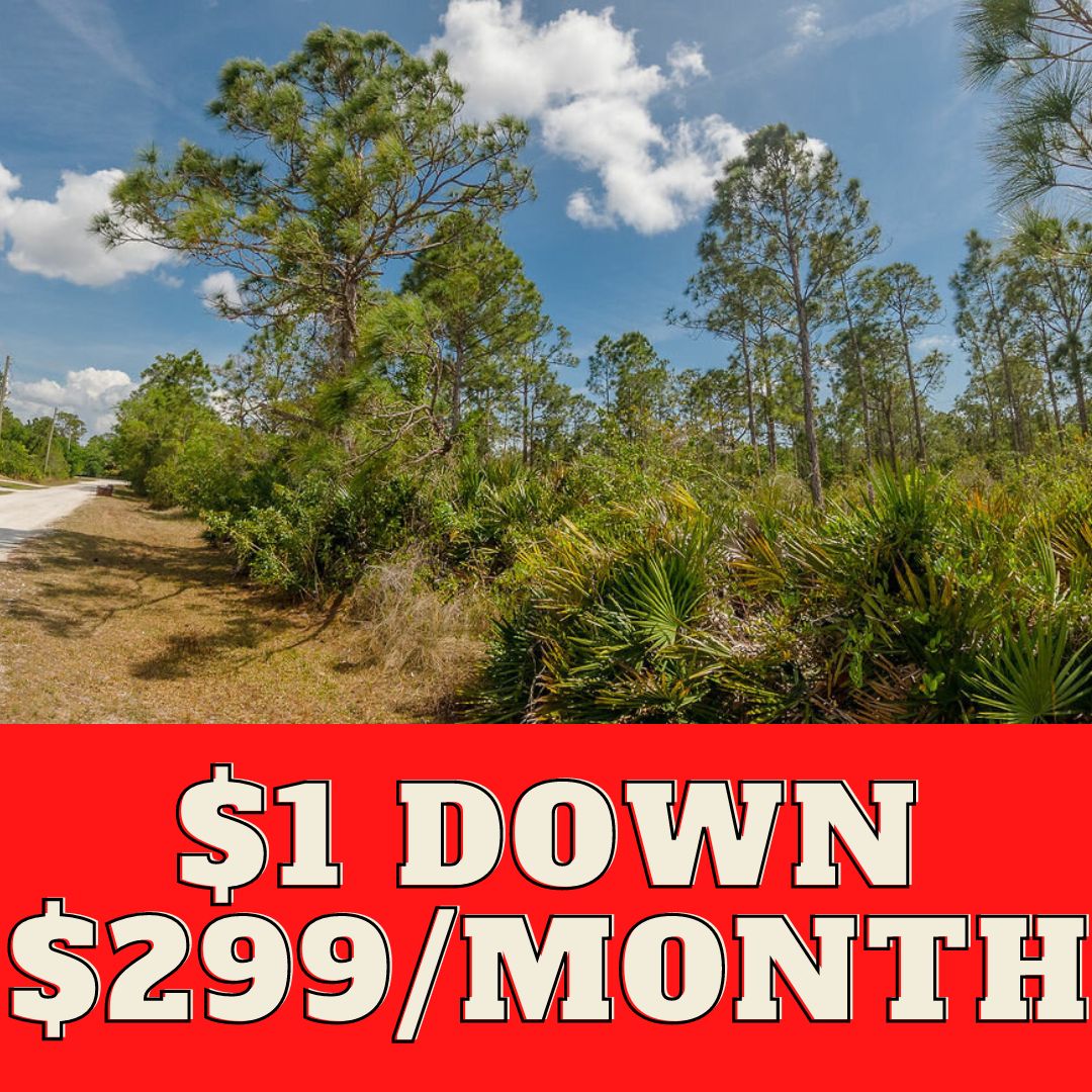 0.17 Acres, 27372 Aloha Dr, Punta Gorda, FL 33955 Land and Farm