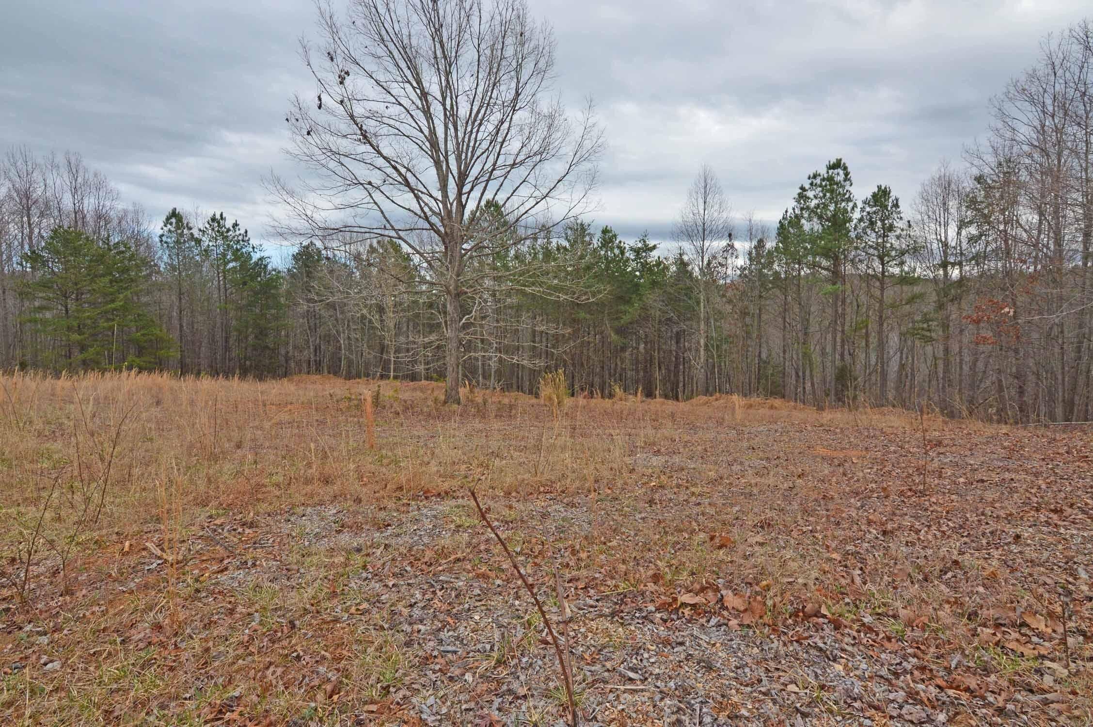 6.4 Acres, Lot 24 Roach RD, Huddleston, VA 24104 Land and Farm