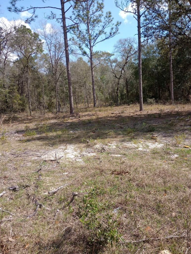 1.25 Acres, 118th Ln, Bronson, FL 32621 Land and Farm