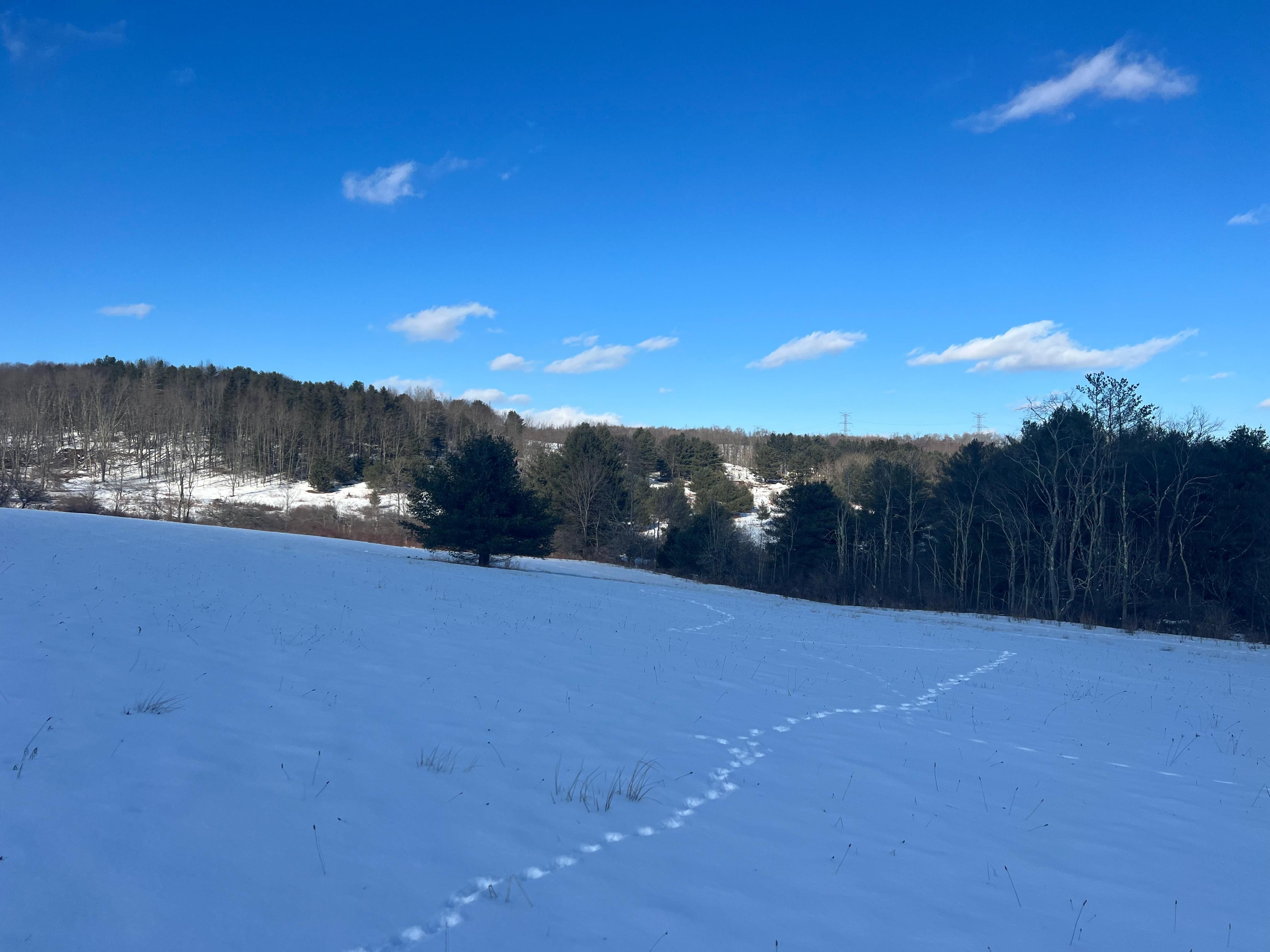 7.1 Acres, Naylor Corner Road, Laurens, NY 13796 Land and Farm