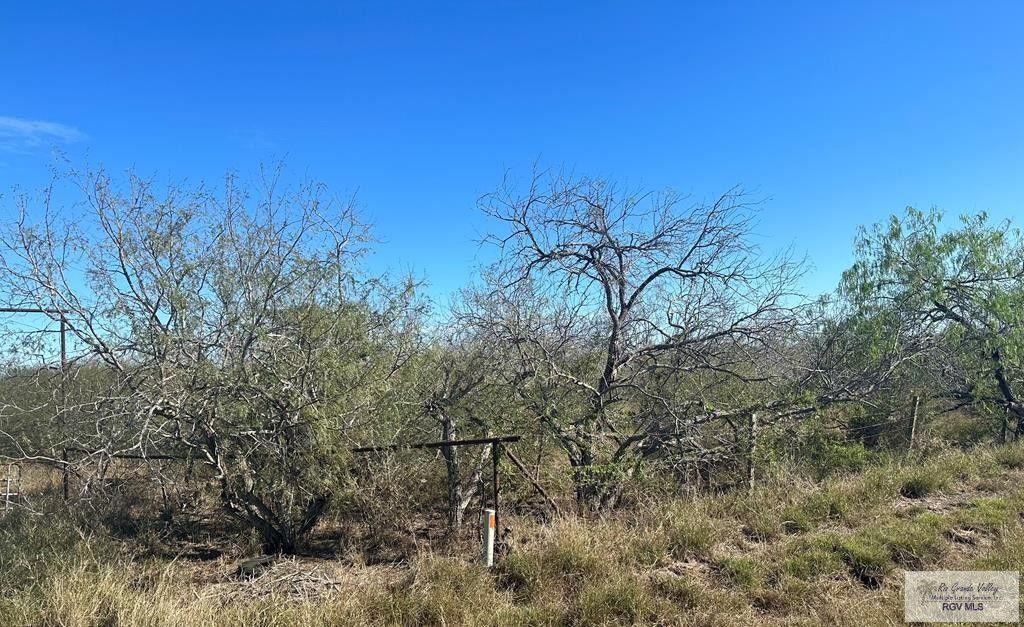 10 Acres, 28109 FM 531, Bayview, TX 78566 Land and Farm