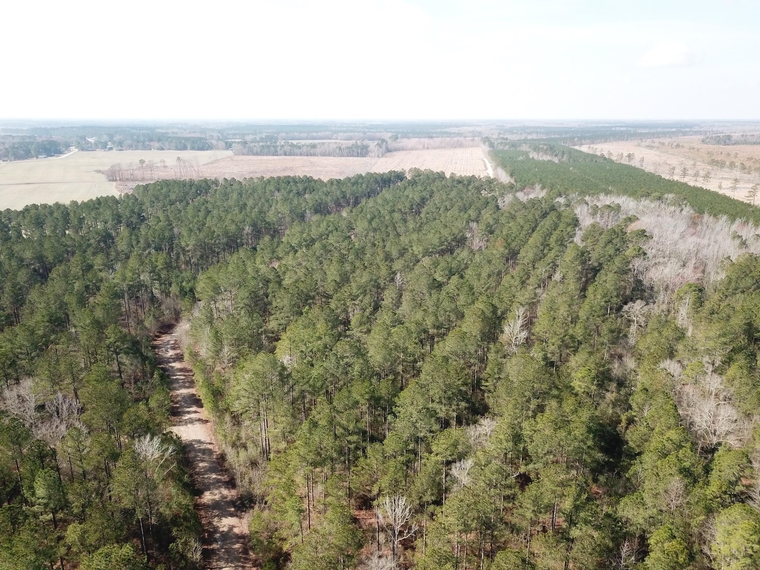93.11 Acres, Off Highway 17, Lot WP001, Vanceboro, NC 28586 Land and