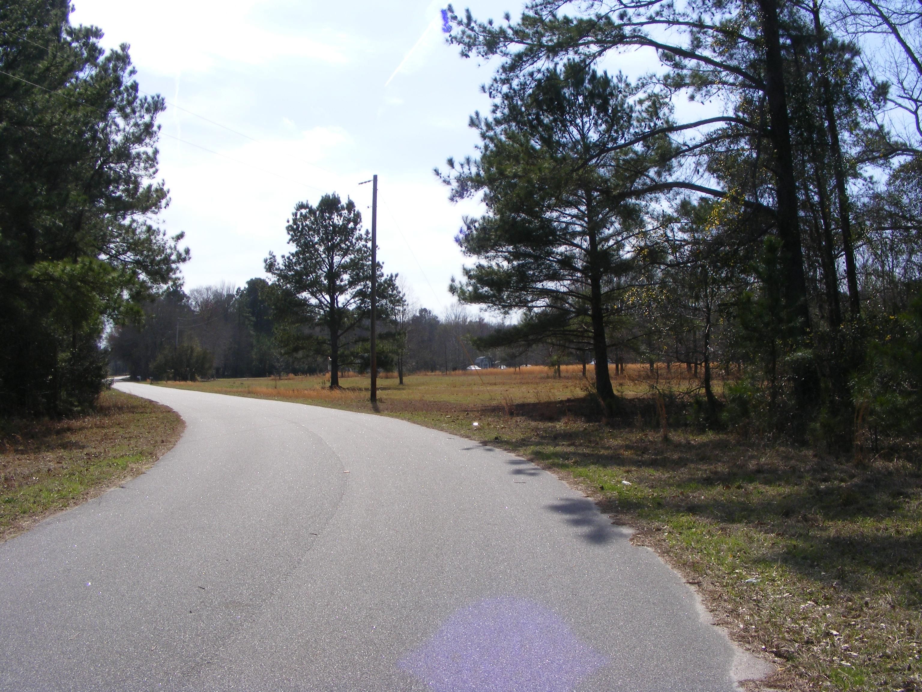 20 Acres, Trecer Road, Cope, SC 29038 Land and Farm