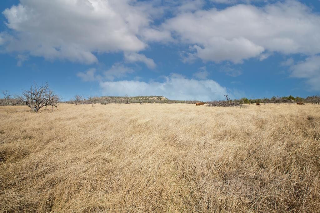 10.01 Acres, 2 Lower Crabapple Rd, Fredericksburg, TX 78624 Land and Farm