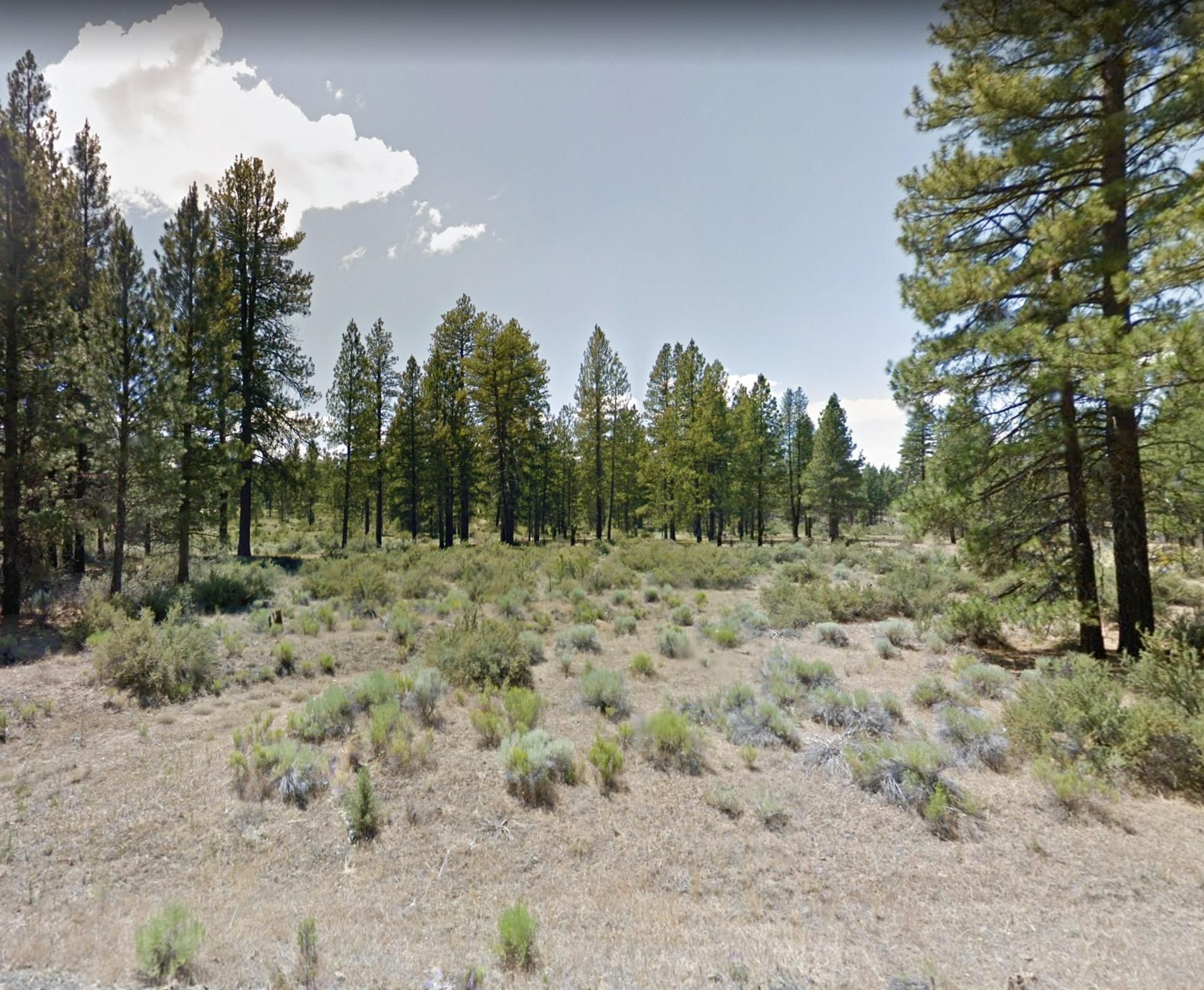 Canvasback Dr, Bonanza, OR 97623 Land and Farm