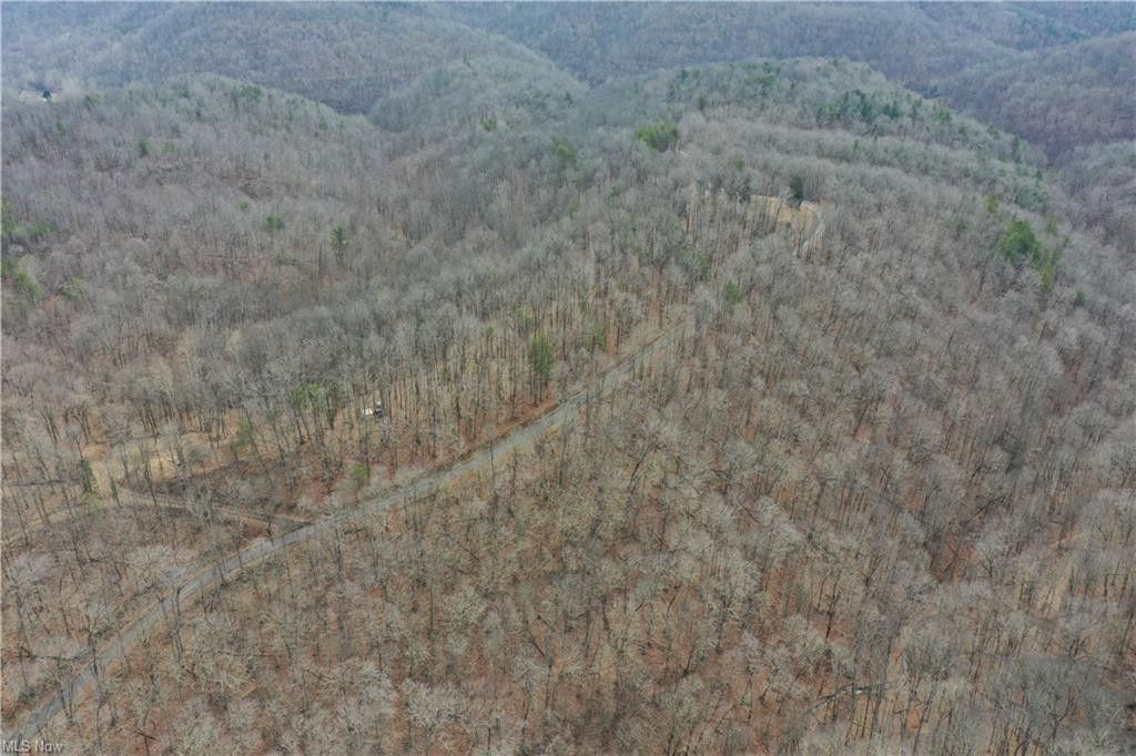 43.25 Acres, 0001 Norman Ridge Rd, Big Bend, WV 26136 Land and Farm
