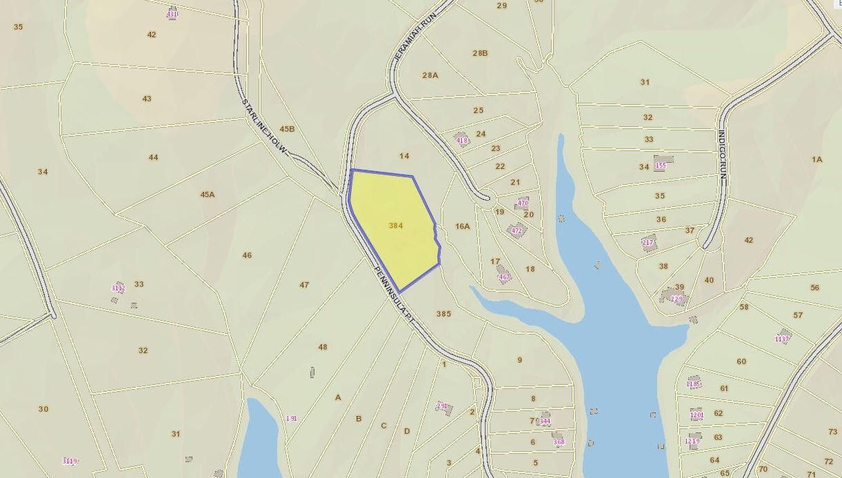 3.38 Acres, Lot 384 Penninsula Pointe, Lynch Station, VA 24571 Land