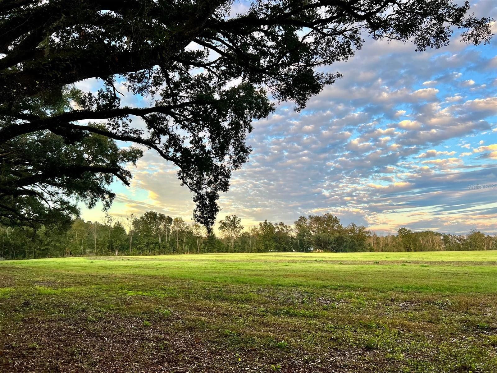 5.57 Acres, Lot 7 SW 15TH AVENUE, Newberry, FL 32669 | Land and Farm