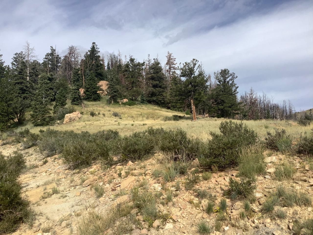 642.33 Acres, Helper, UT 84526 Land and Farm