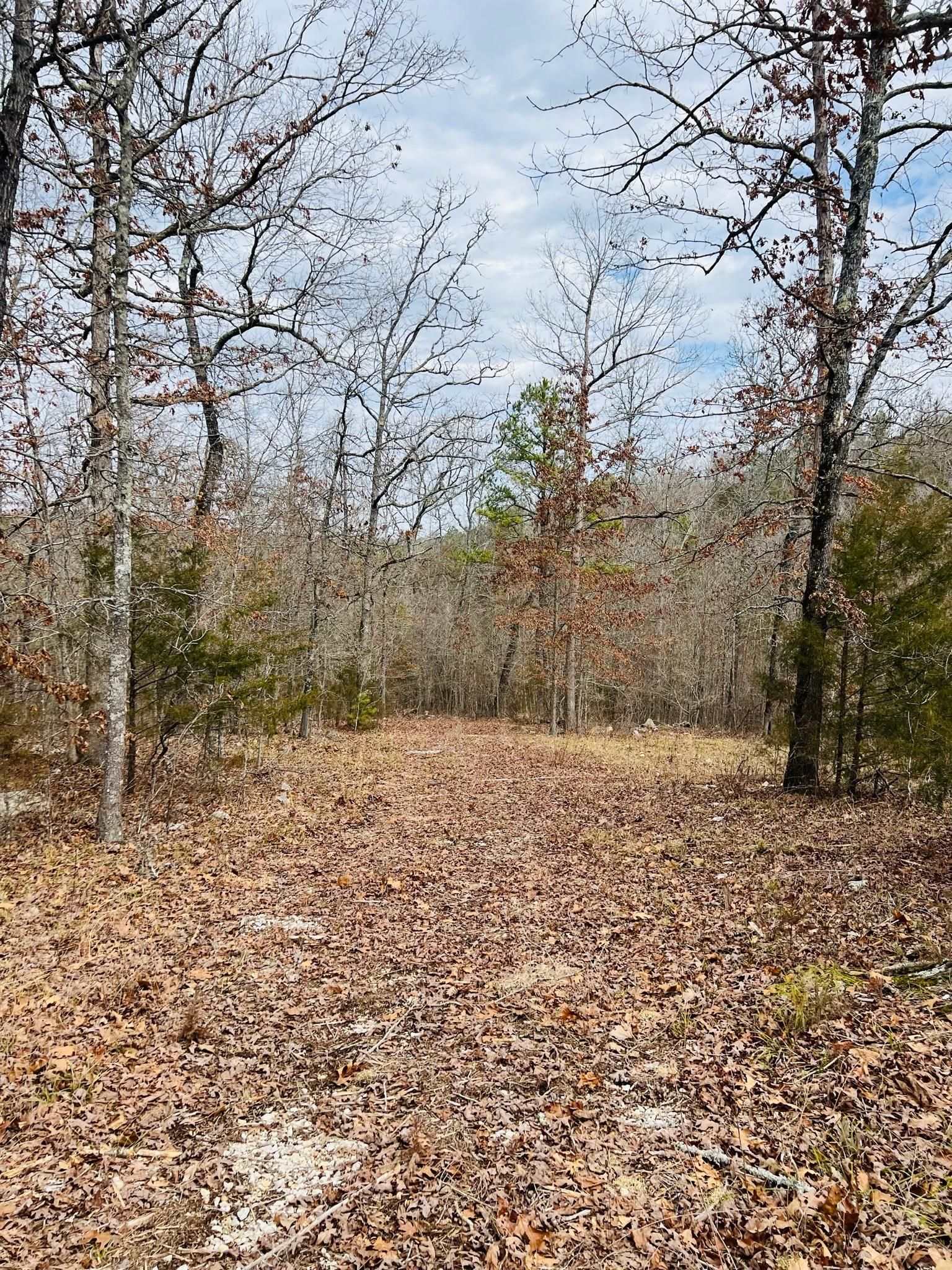 13.89 Acres, 13A Boone Trail, Jordan, AR 72519 Land and Farm