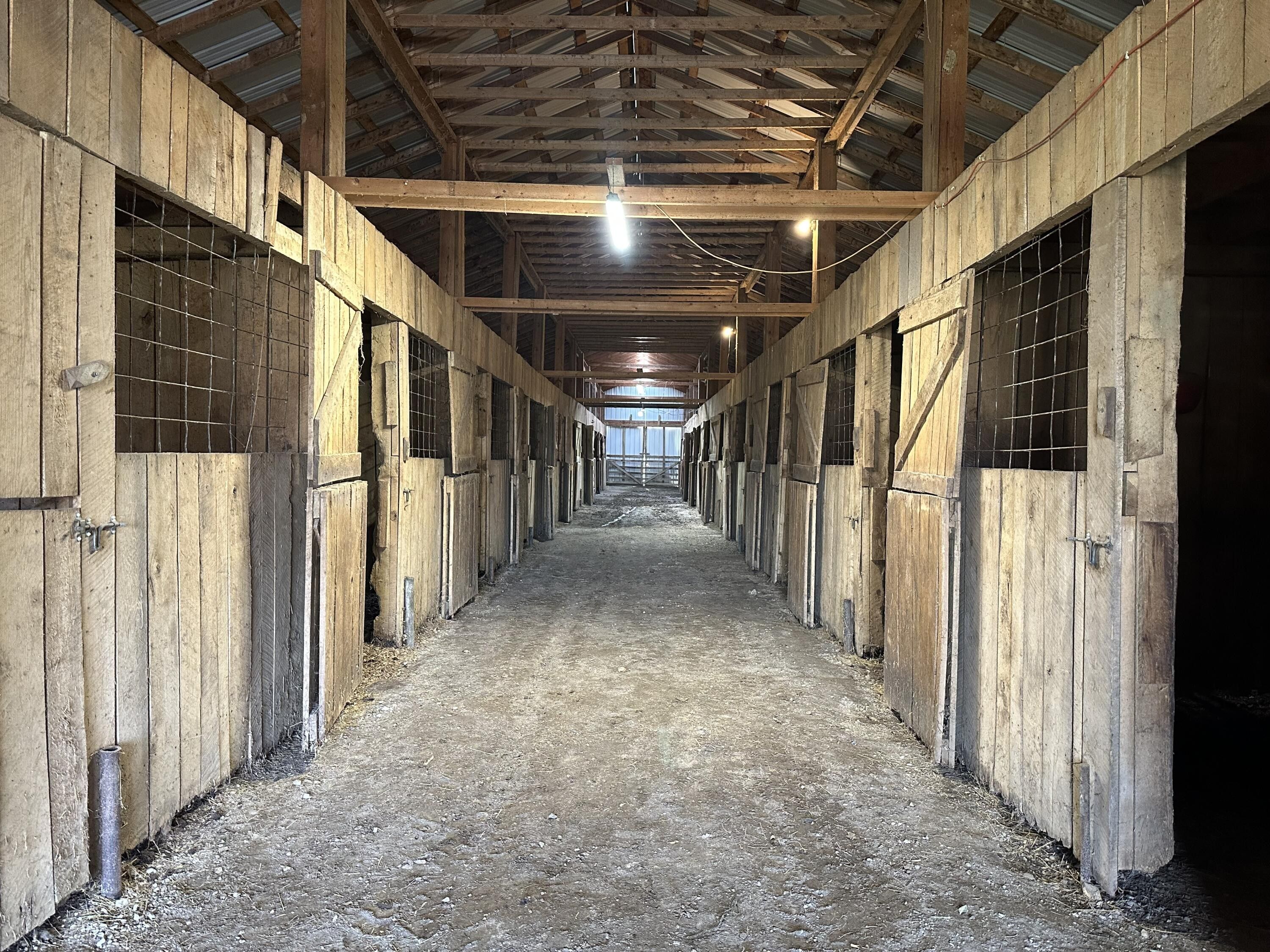 4.52 Acres, 155 Spruce Valley Lane, Jeffersonville, KY 40337 Land and Farm