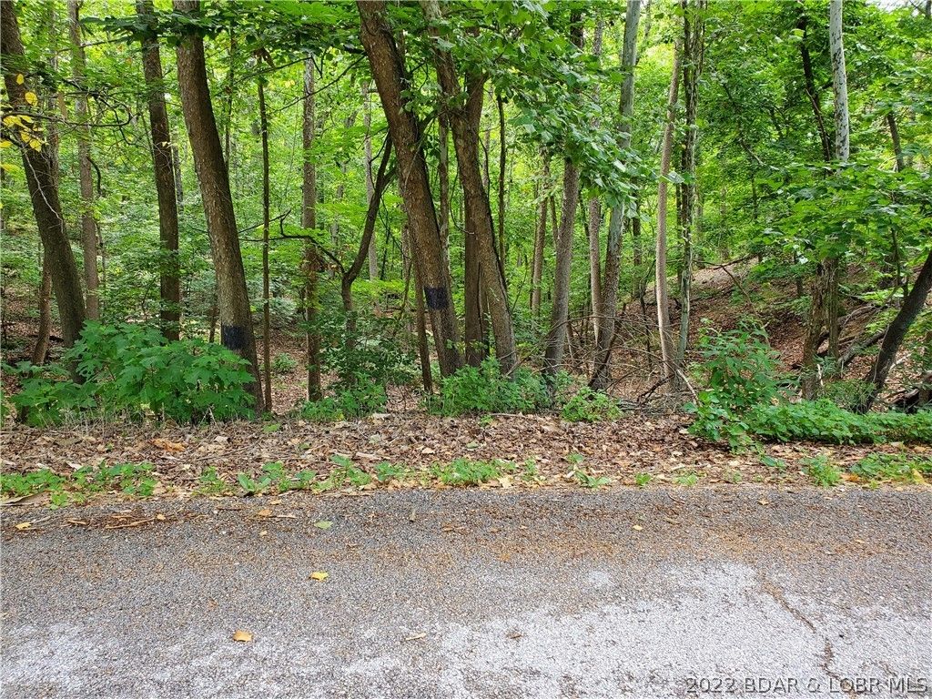 2 Acres, Tbd Triple Cove Lane, Climax Springs, MO 65324 Land and Farm