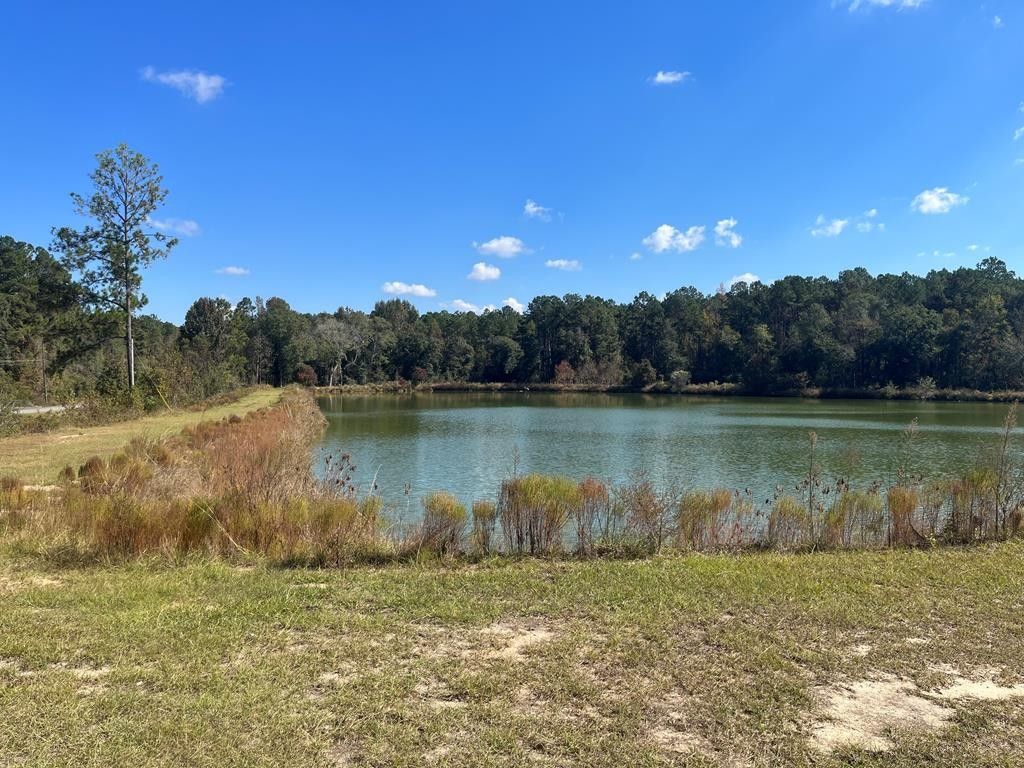 19.41 Acres, 18 18 bill quarterman road, Hazlehurst, GA 31539 Land