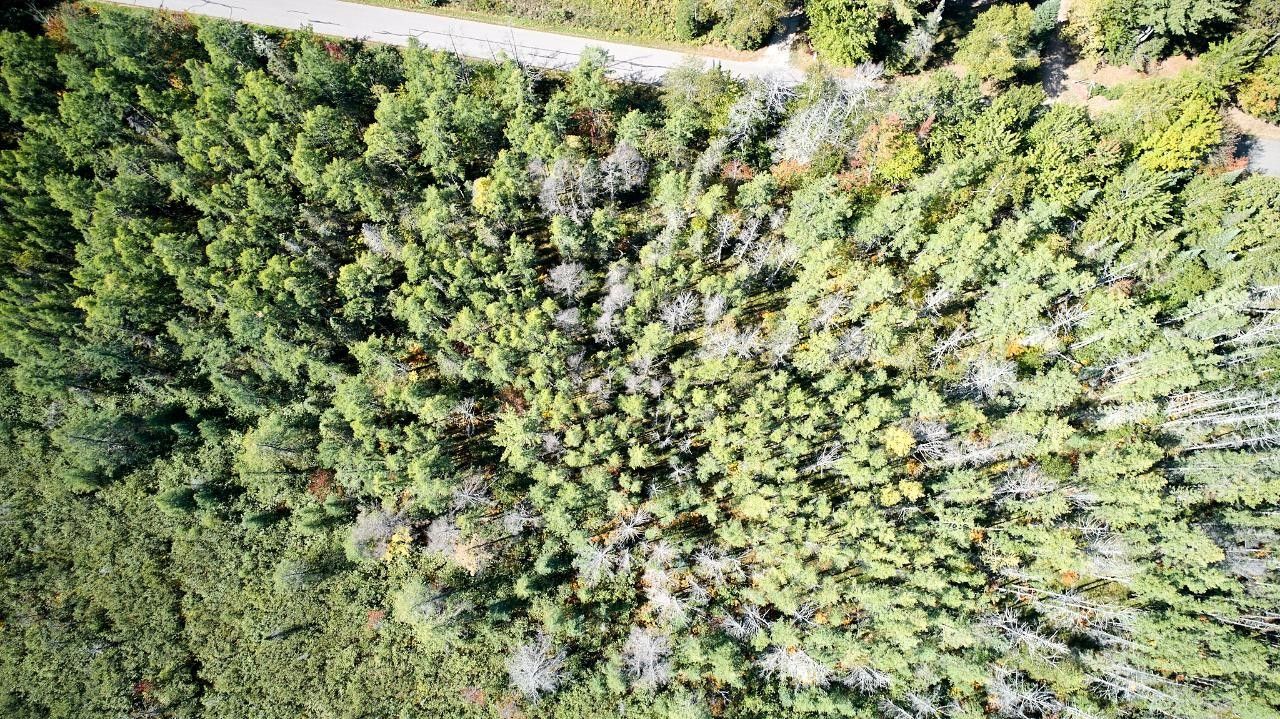 8.03 Acres, On RUSTIC LN, Sugar Camp, WI 54501 Land and Farm